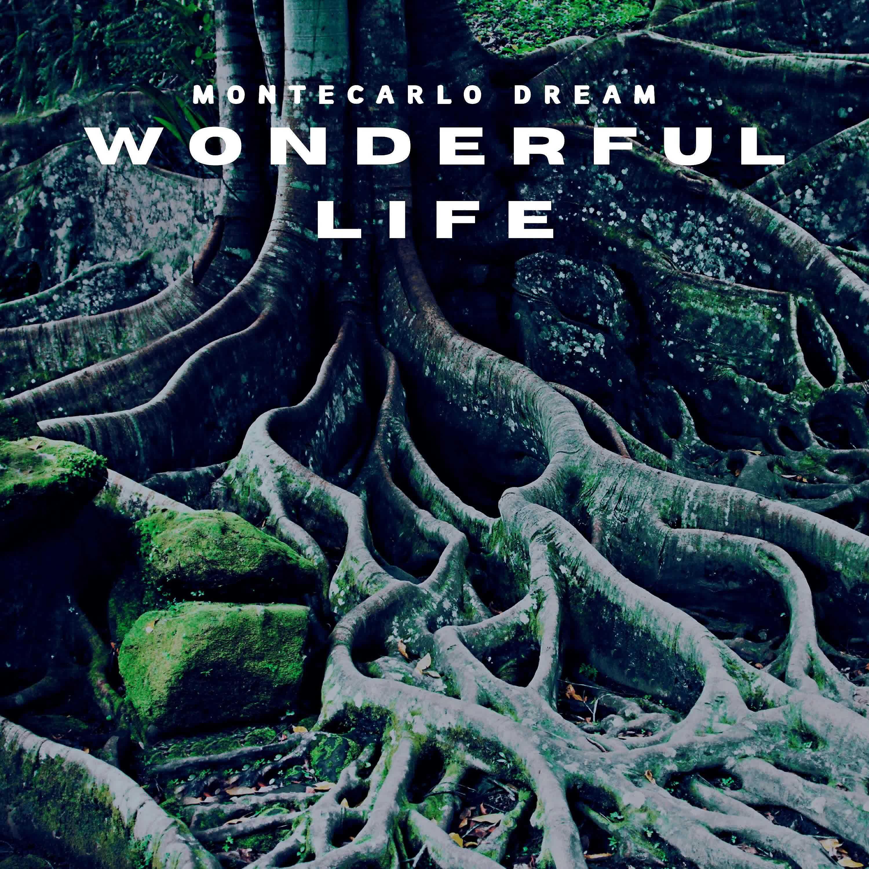 Релиз Wonderful Life