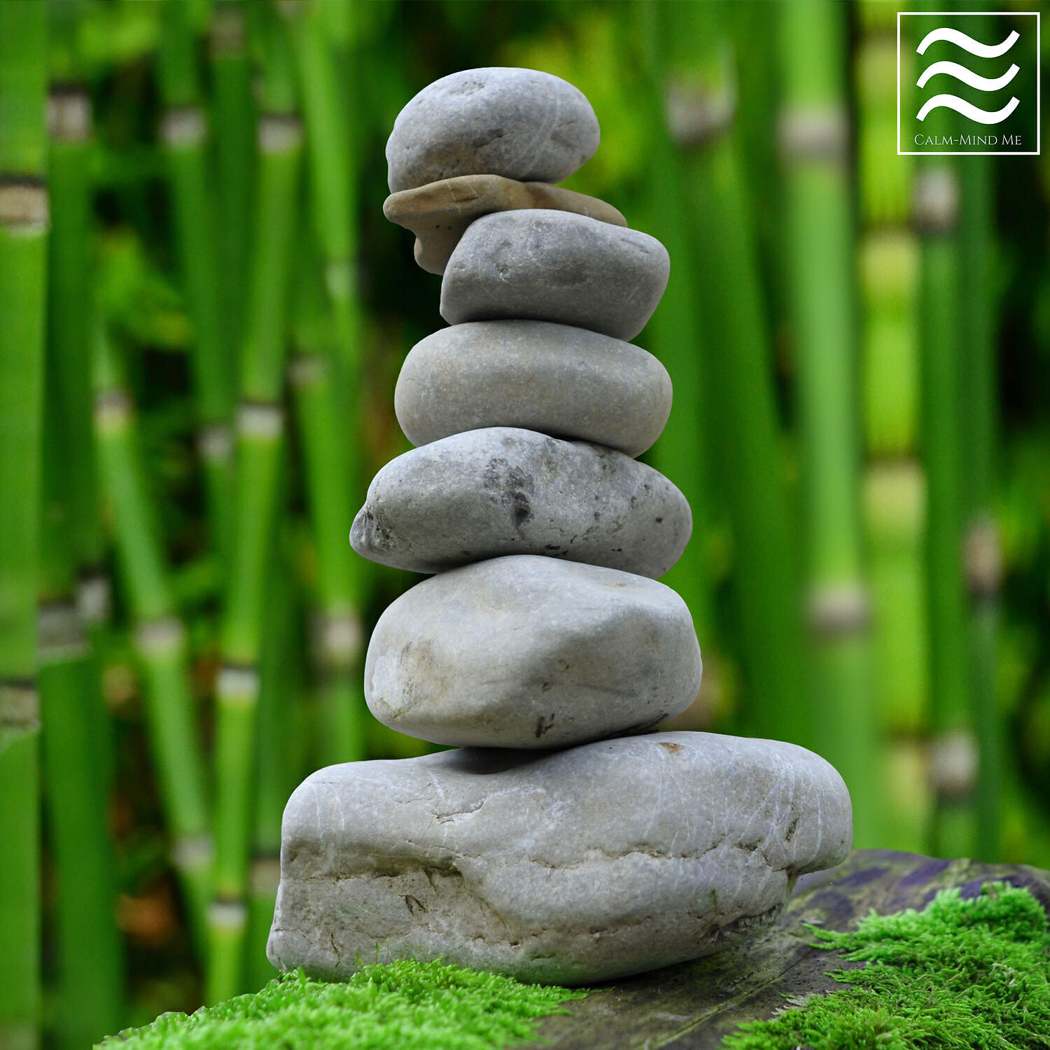 Релиз Smooth Relax with Nature Ambient