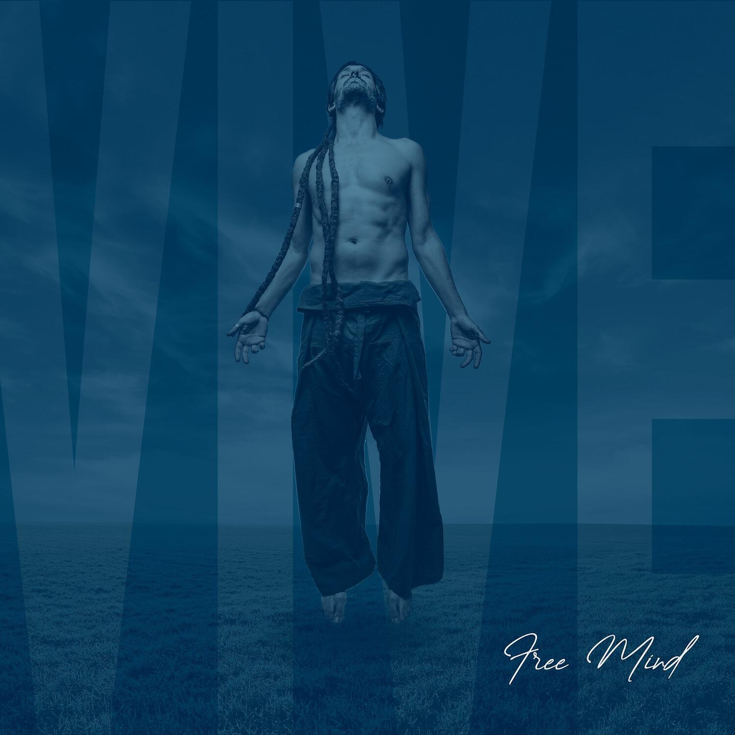 Релиз Vive
