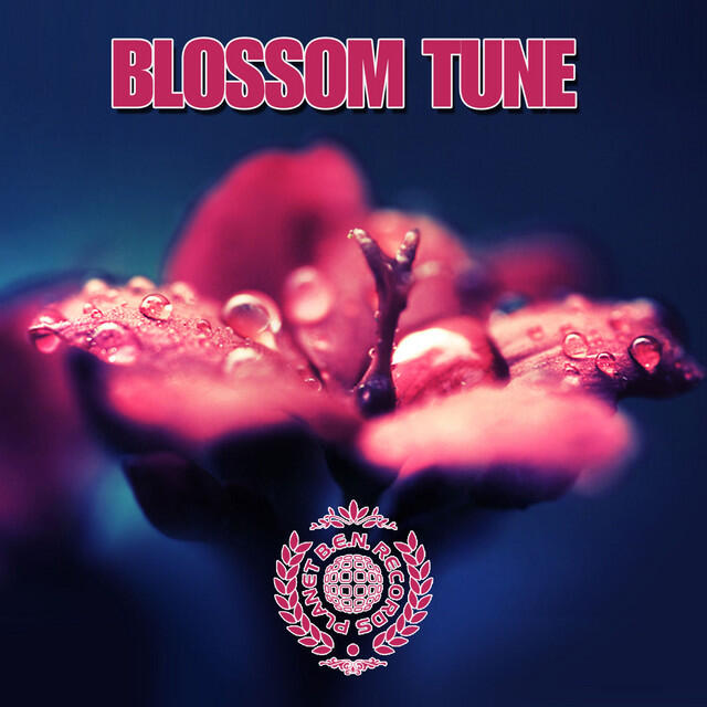 Релиз Blossom Tune