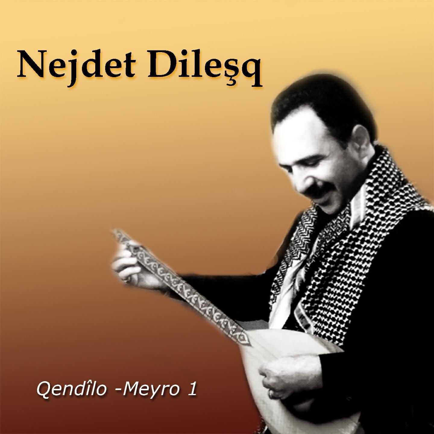 Nejdet Dileşq