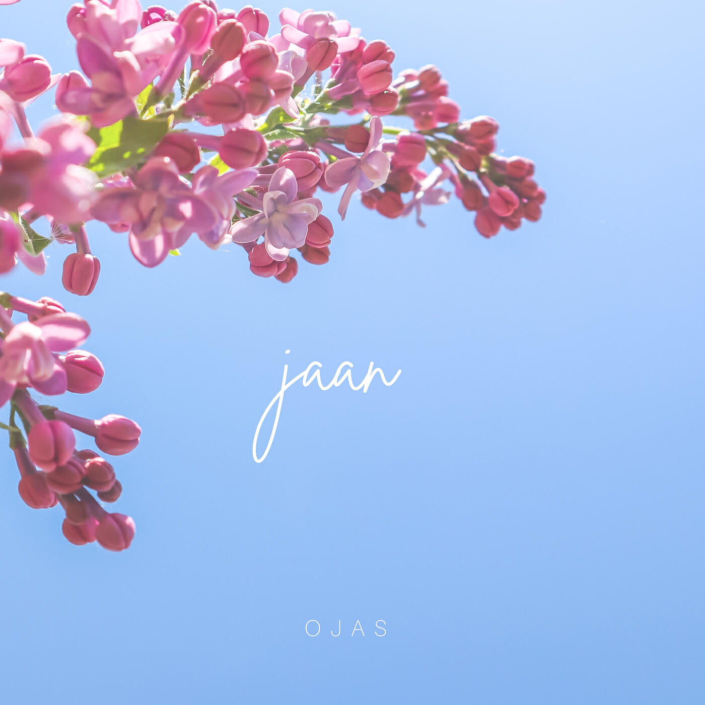 Релиз Jaan
