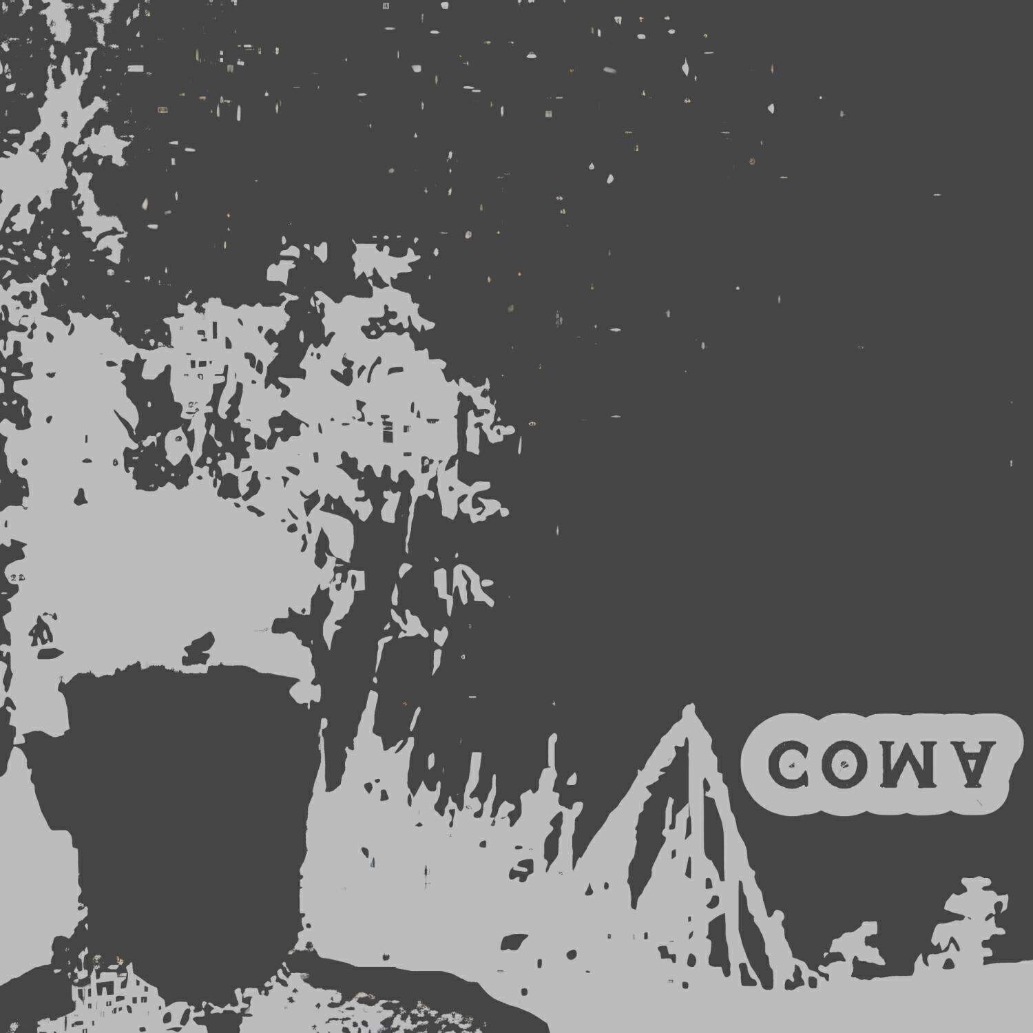 Постер альбома COMA
