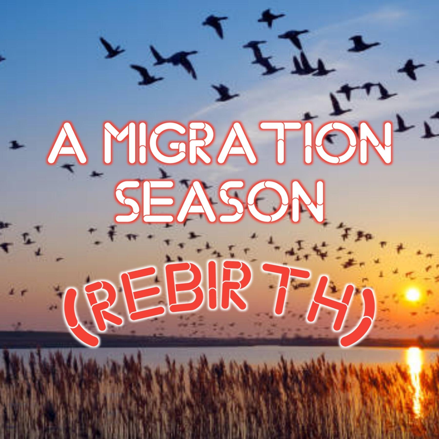 Релиз A Migration Season (Rebirth)