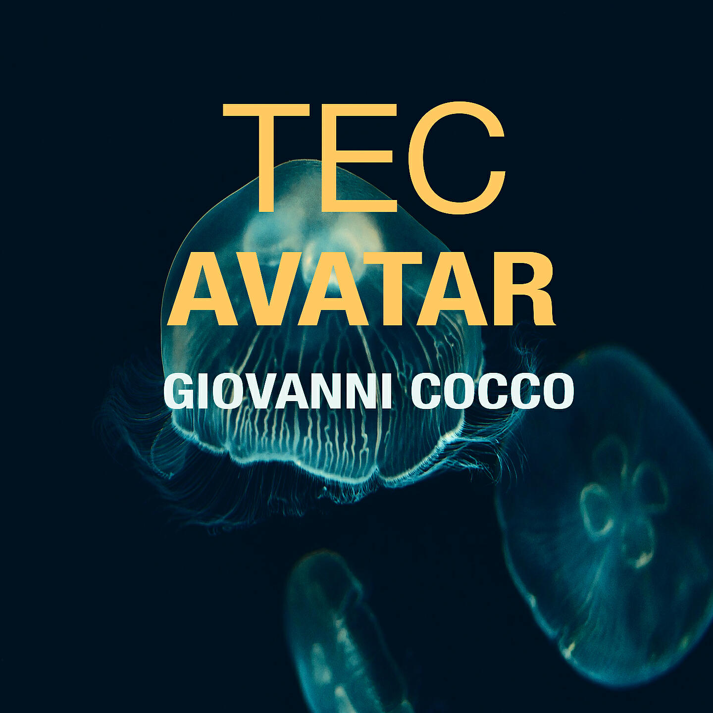 Релиз Tec Avatar