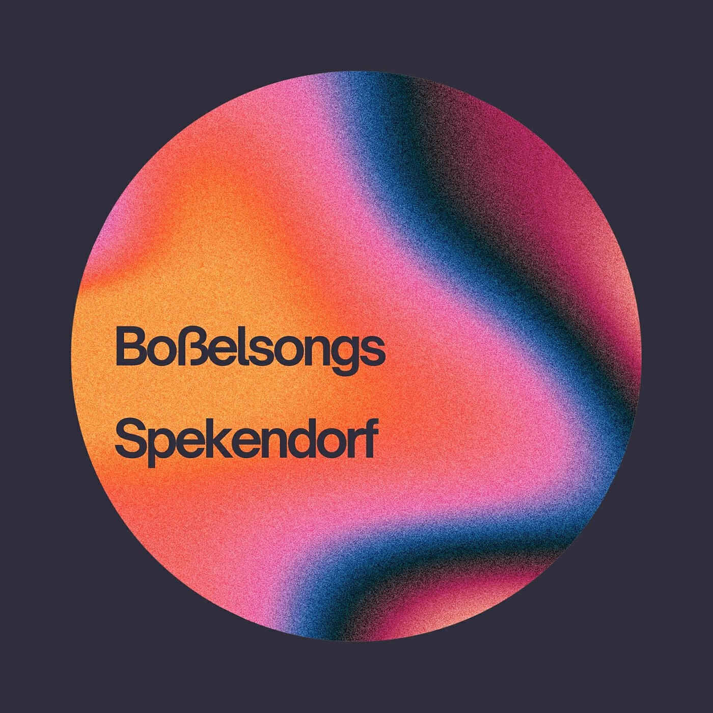 Постер альбома Boßelsongs Spekendorf