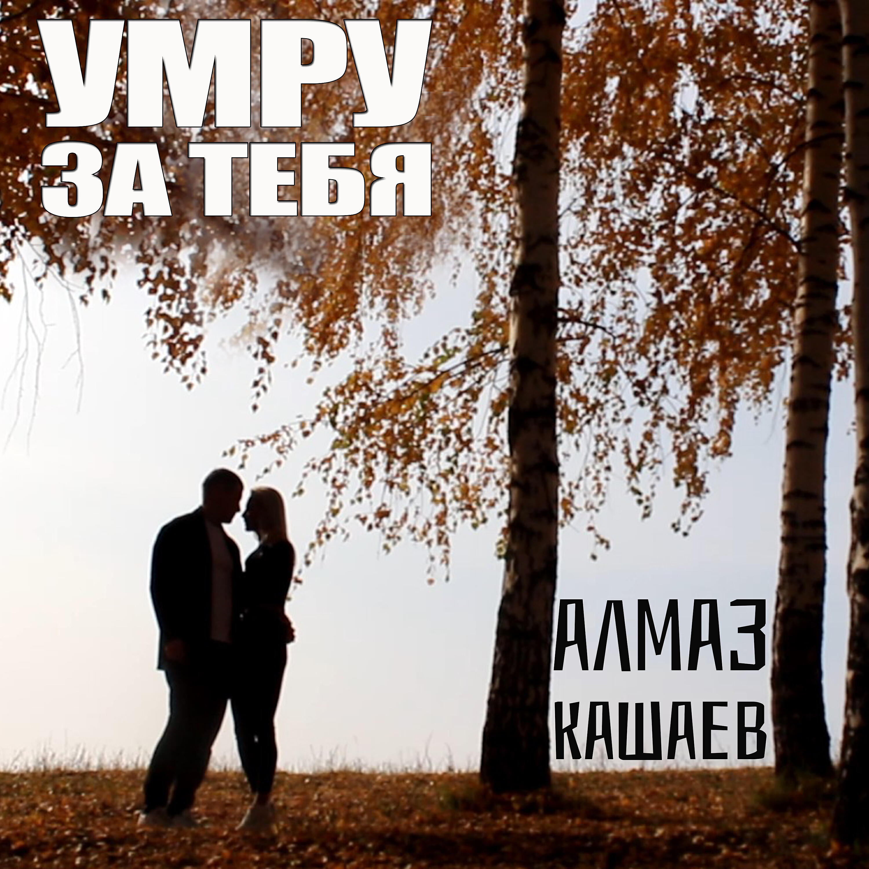 Постер альбома Умру за тебя