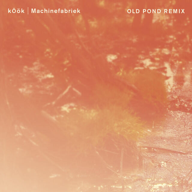 Релиз Old Pond - Machinefabriek Remix