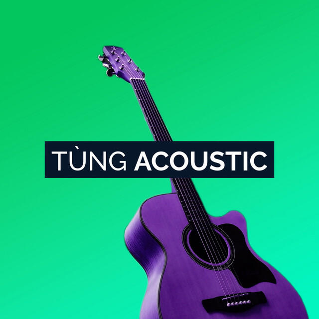 Релиз Tùng Acoustic