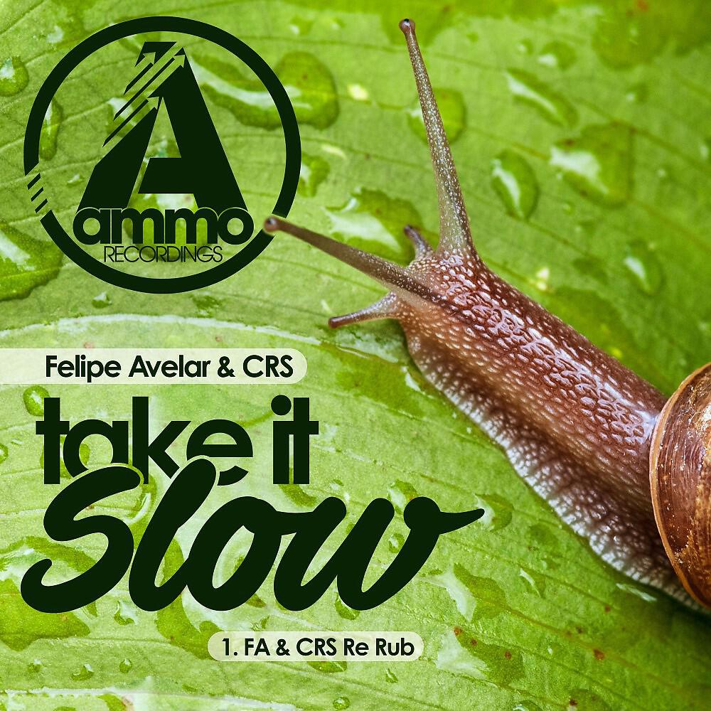 Релиз Take It Slow (FA & CRS Re-Rub)