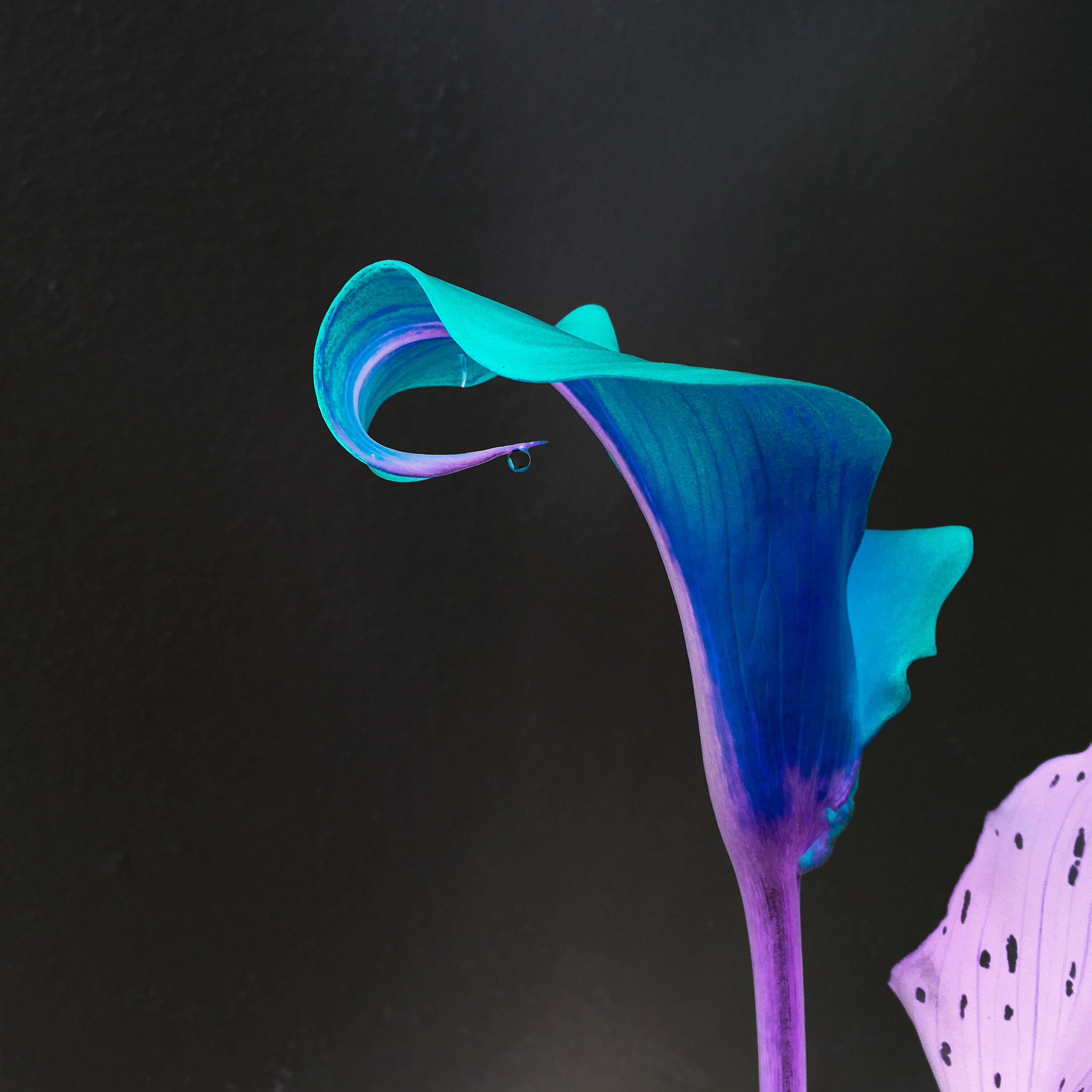 Релиз Magic Moments