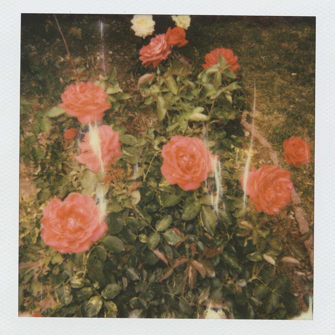 Релиз chapter 2