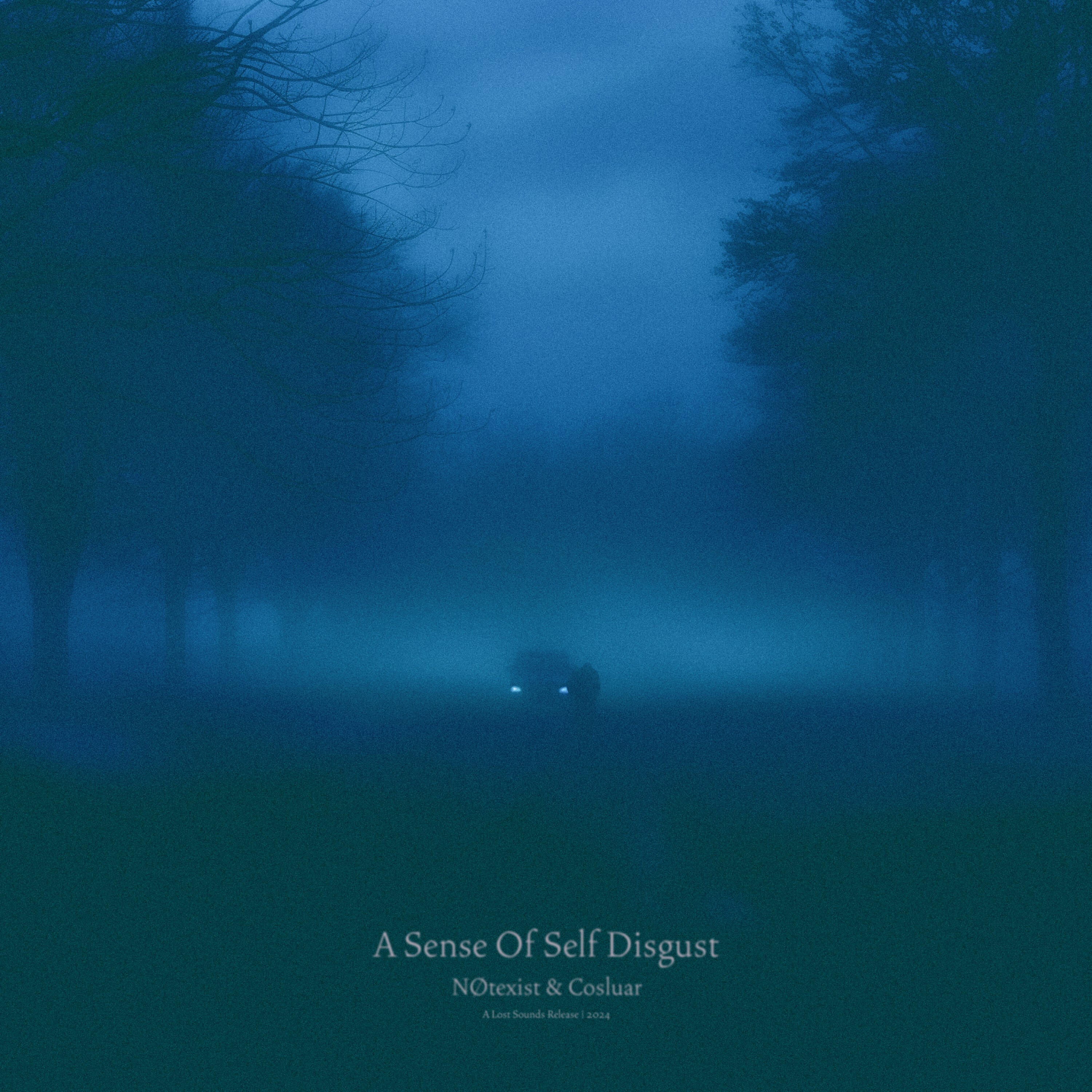 Релиз a sense of self disgust