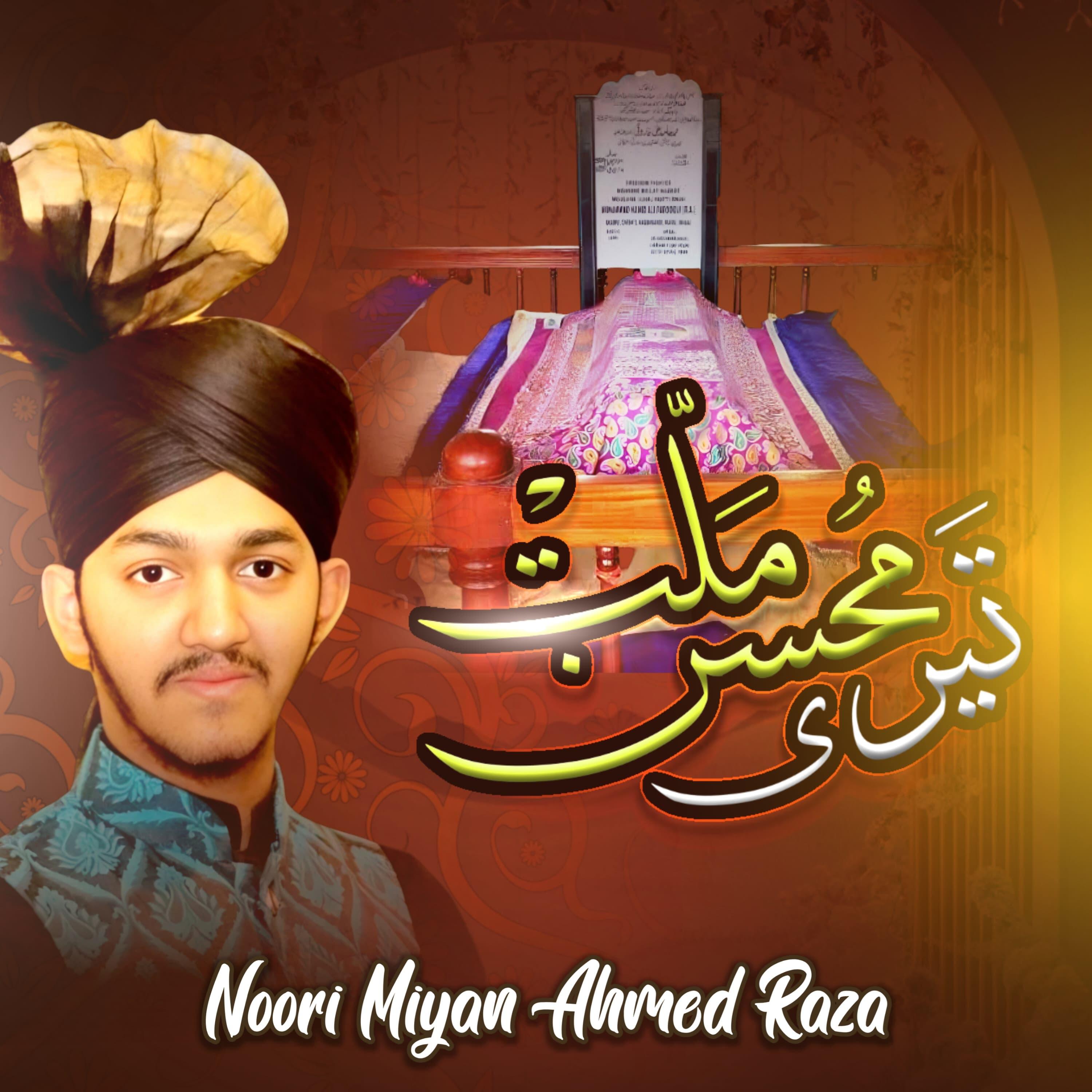 Релиз Mohsin e Millat Teri