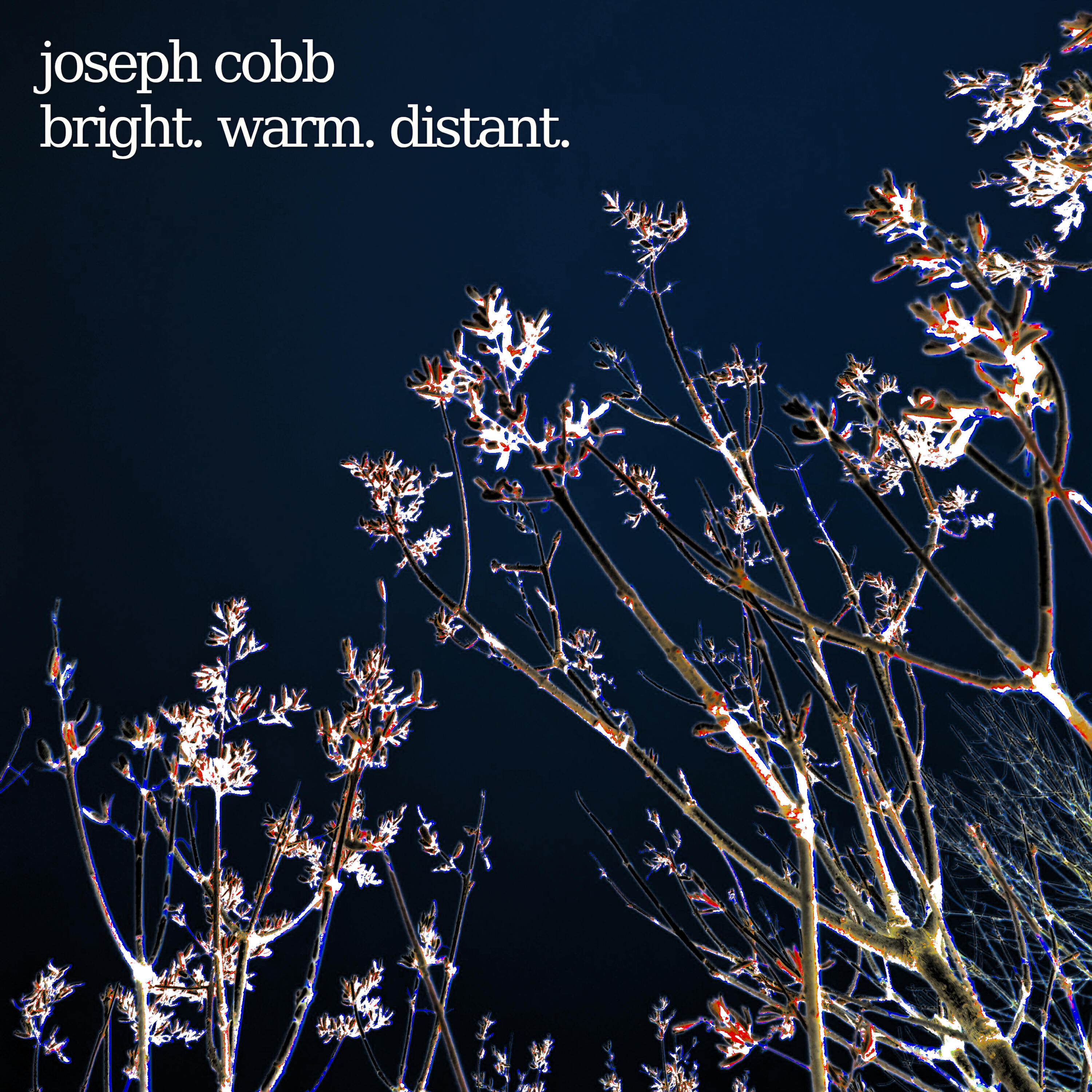 Релиз bright. warm. distant.