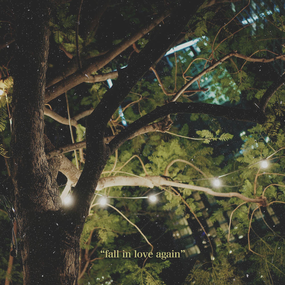 Релиз fall in love again