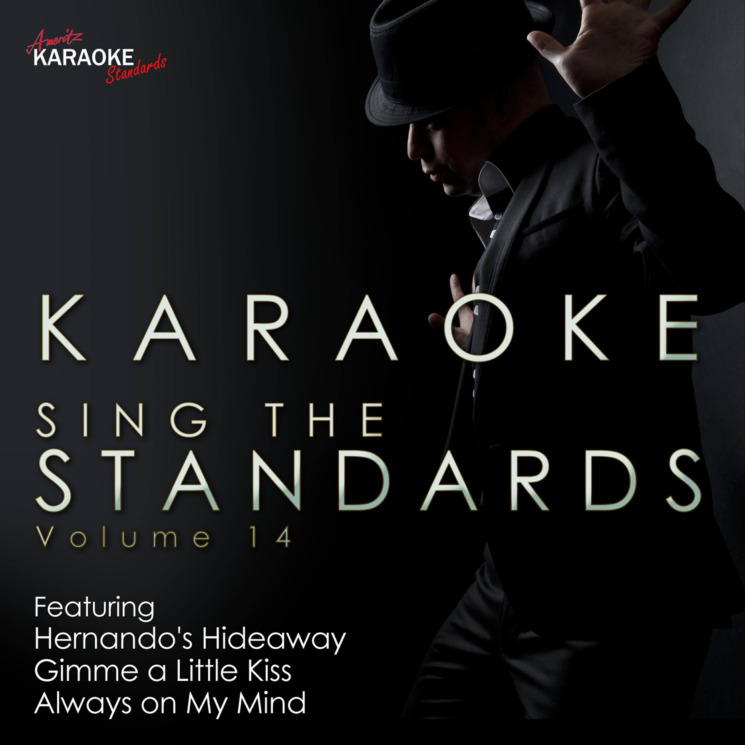 Релиз Karaoke - Sing the Standards Vol. 14