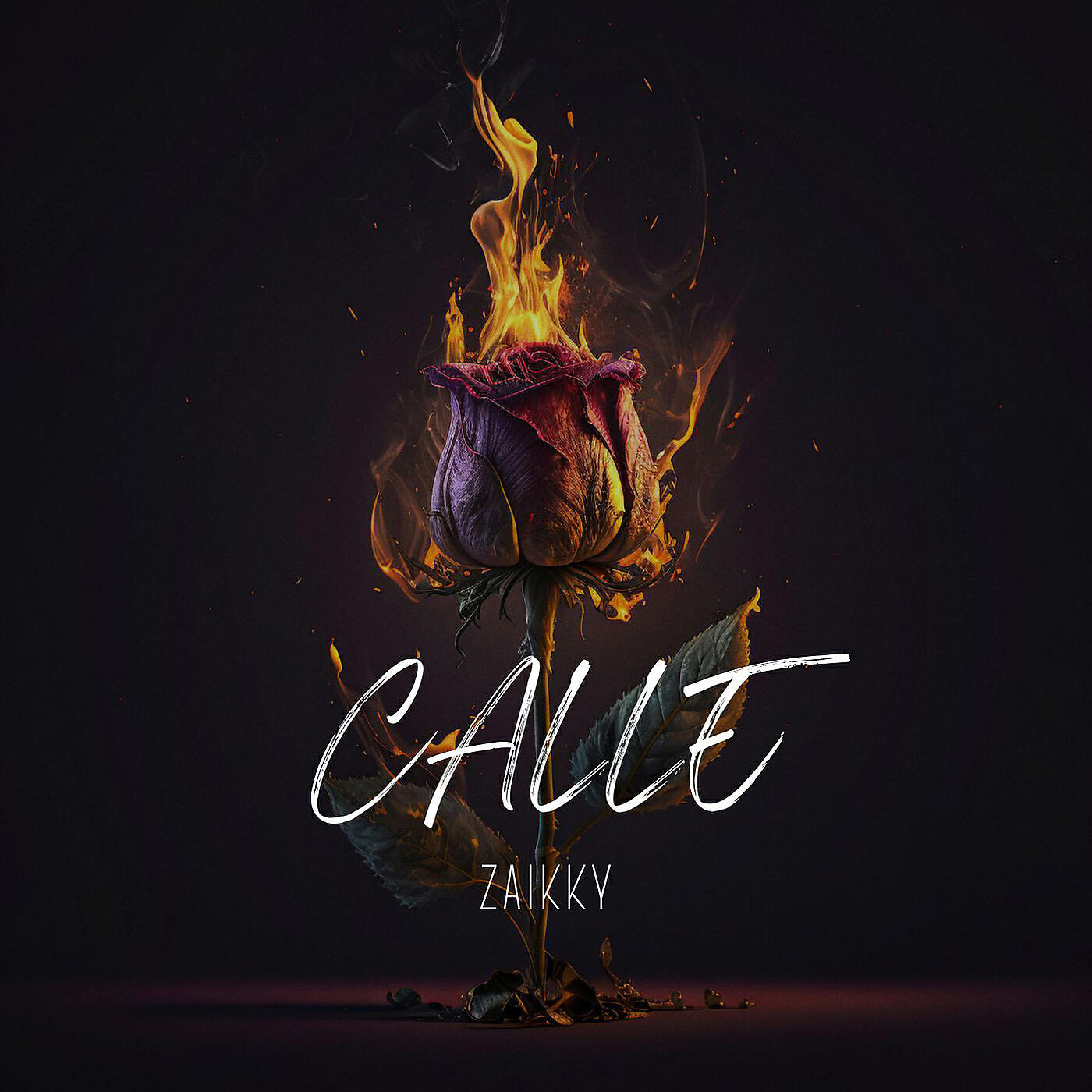 Релиз Calle