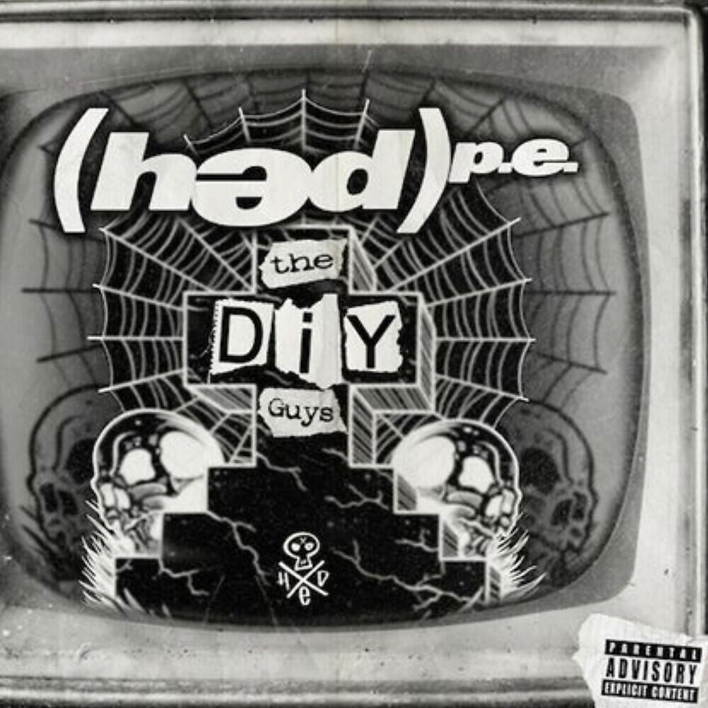 Релиз The DIY Guys