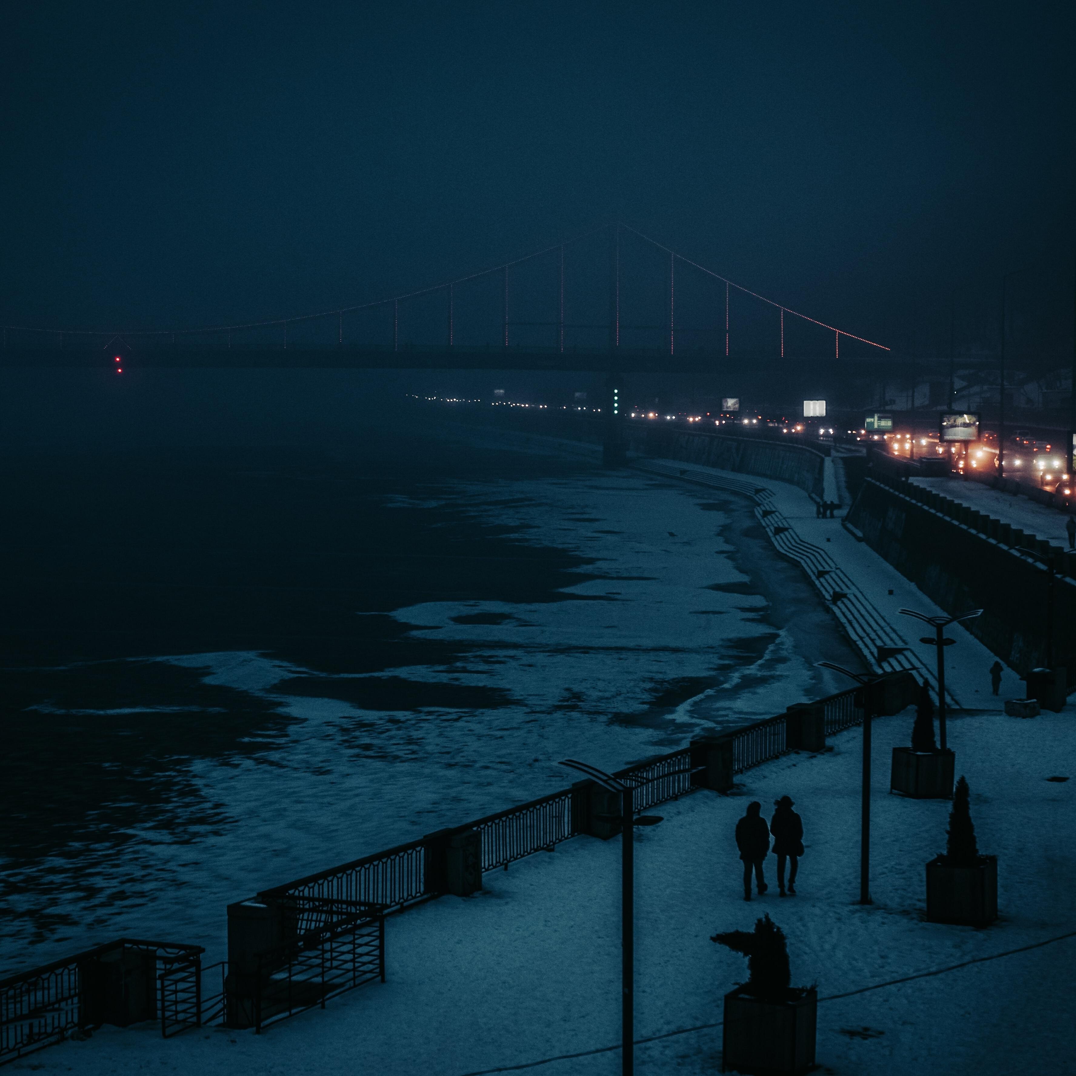 Релиз In the Night