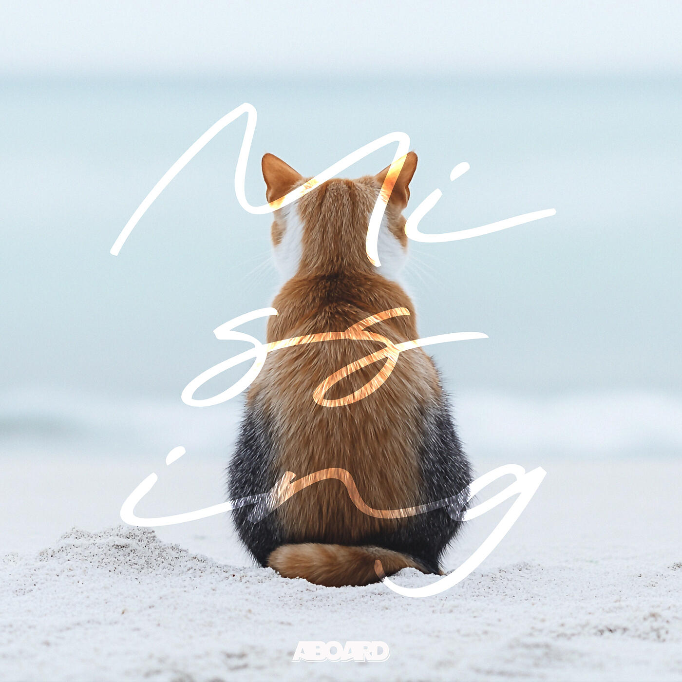Релиз Missing