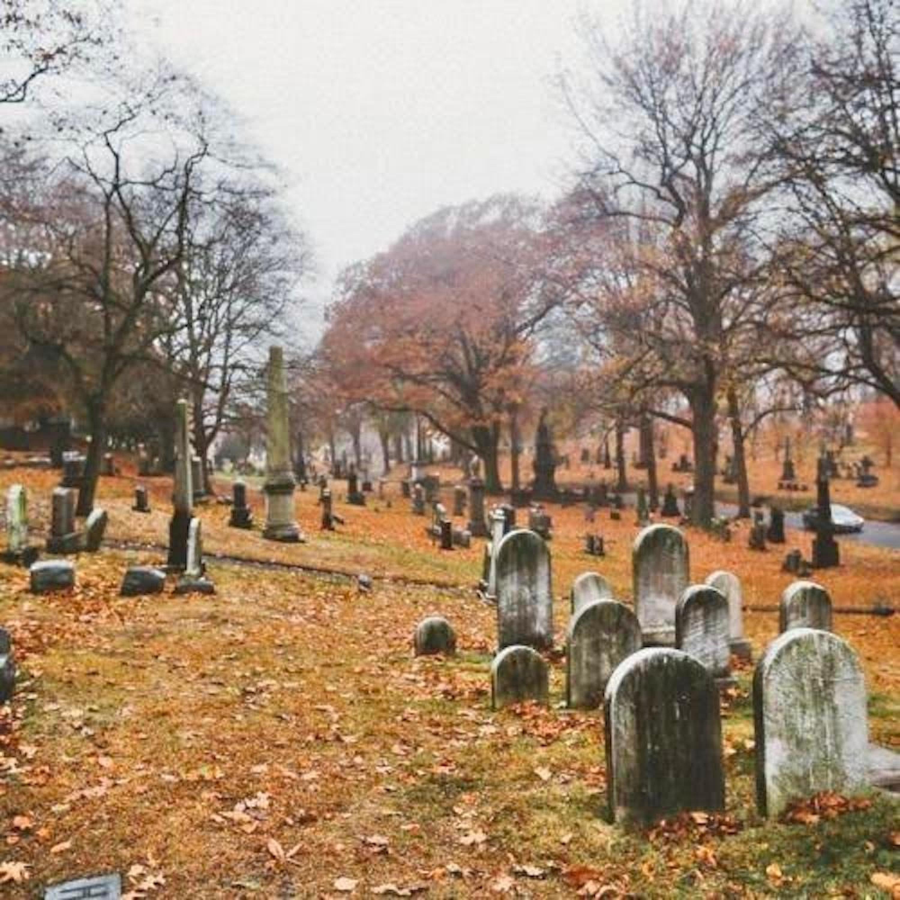 Релиз November Leaves