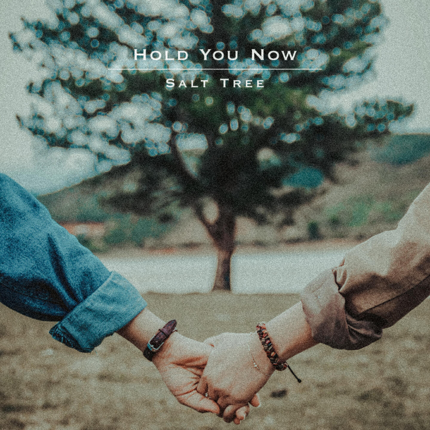 Постер альбома Hold You Now
