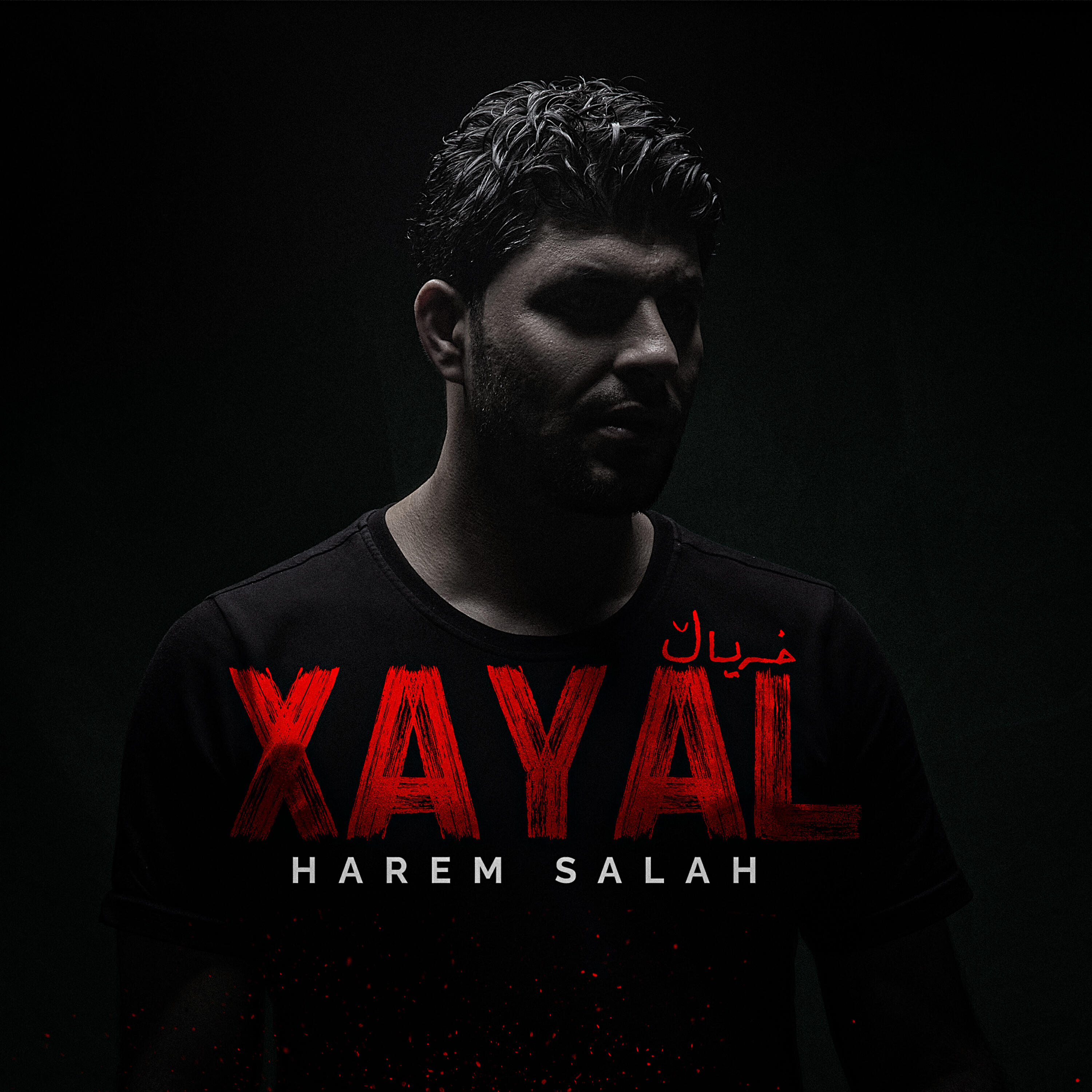 Постер альбома Xayal