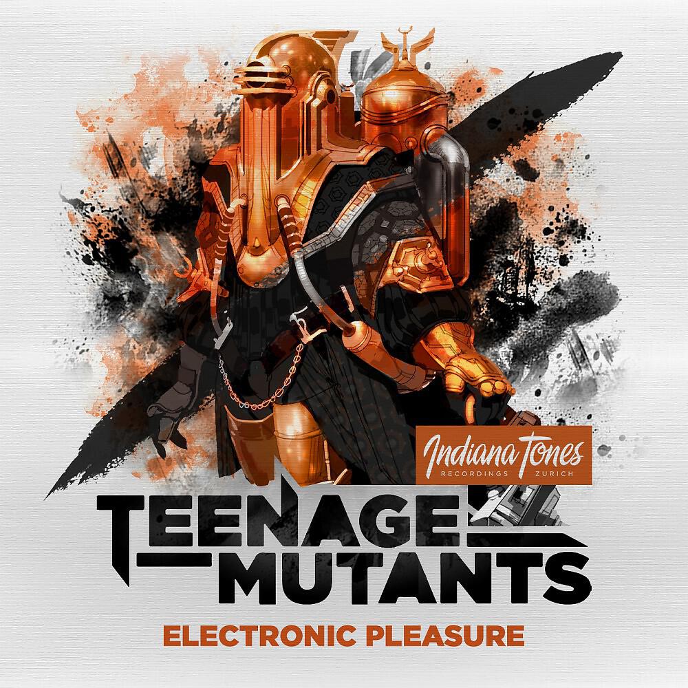 Релиз Electronic Pleasure