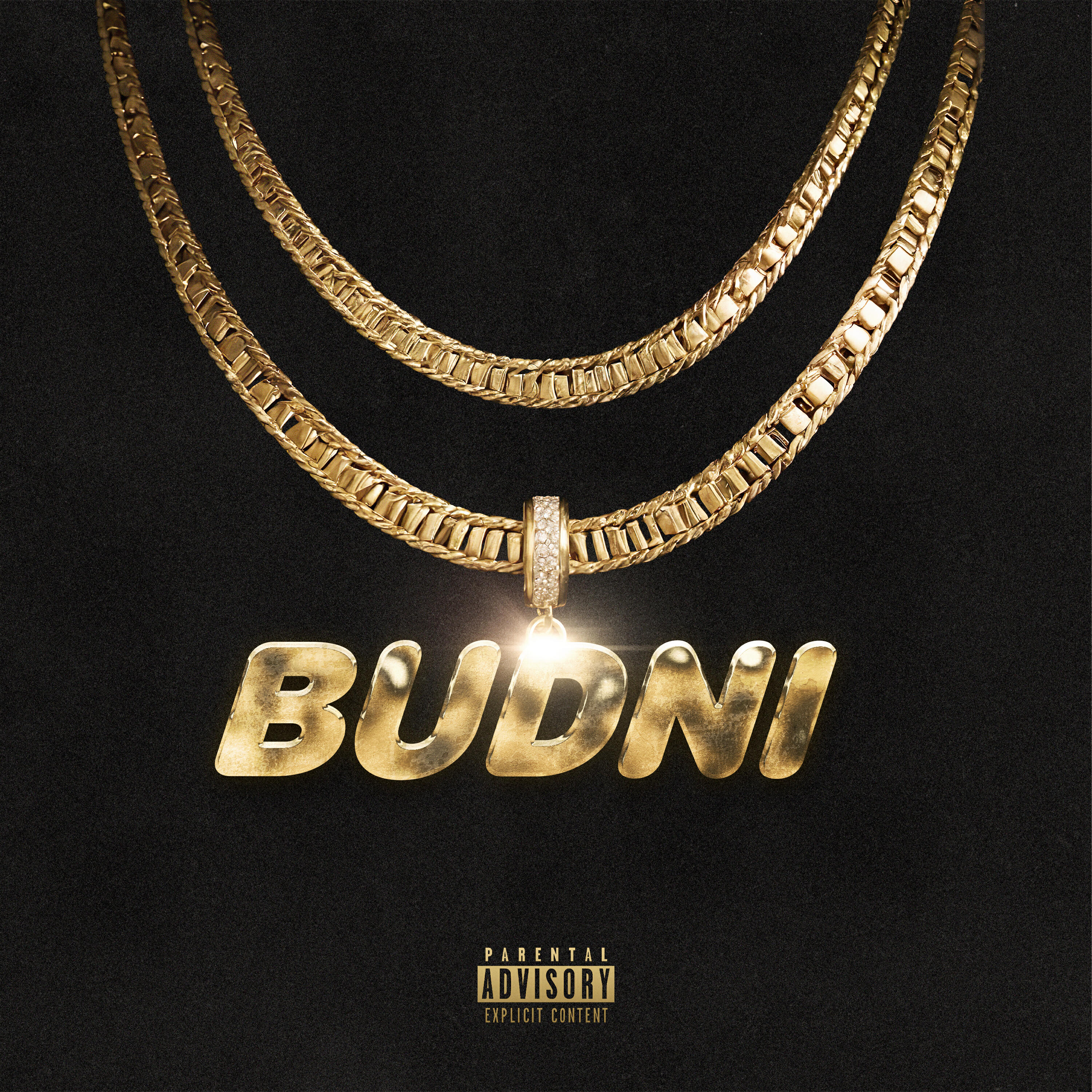 Релиз BUDNI