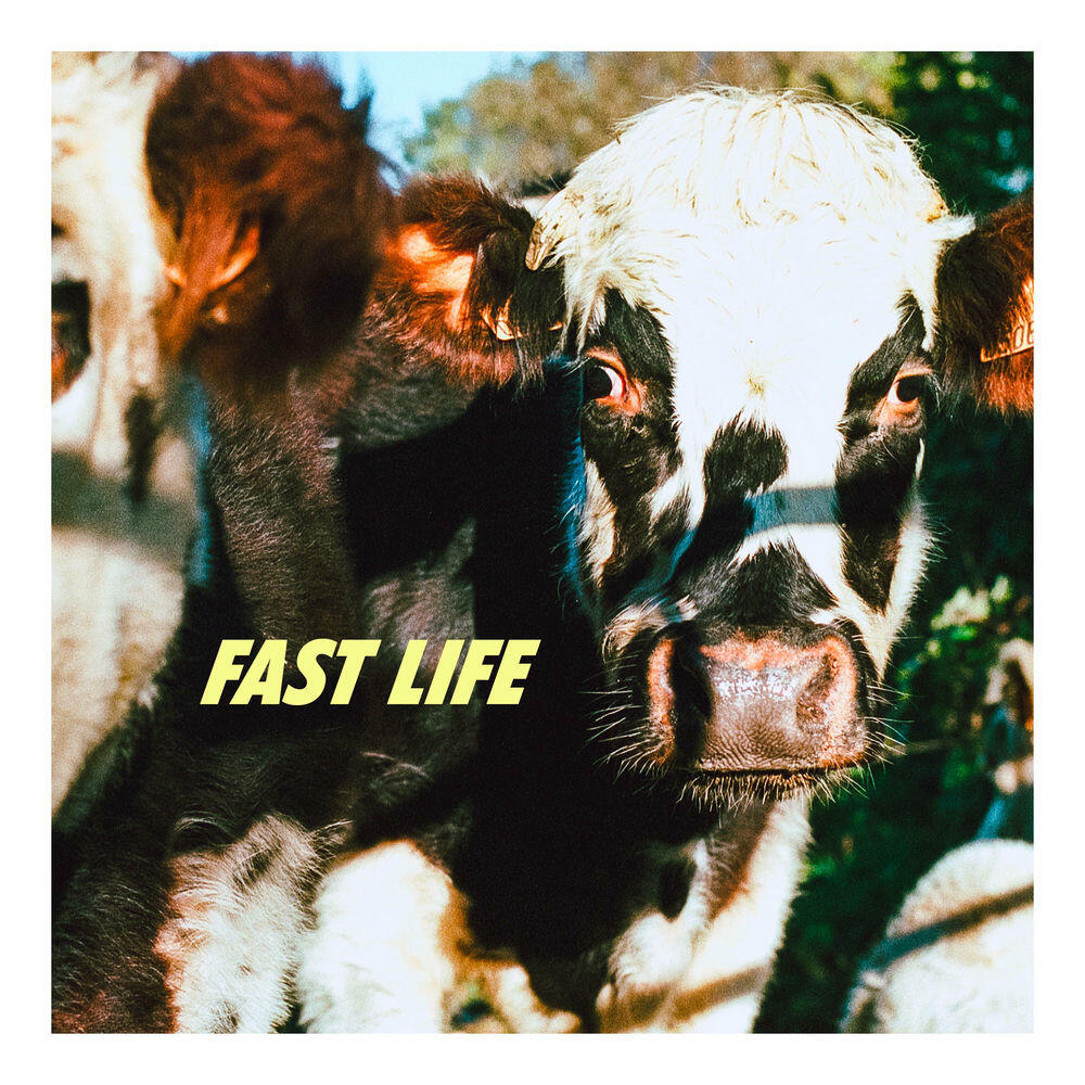 Релиз Fast Life
