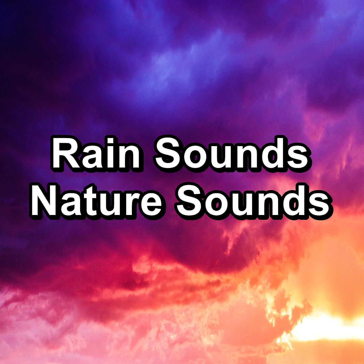 Релиз Rain Sounds Nature Sounds
