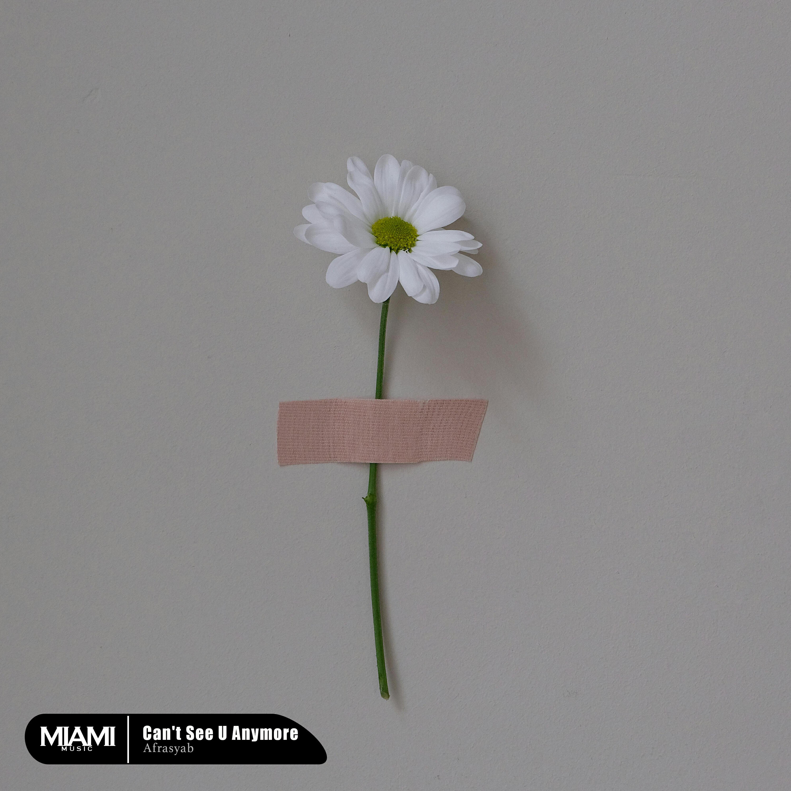 Релиз Can't See U Anymore