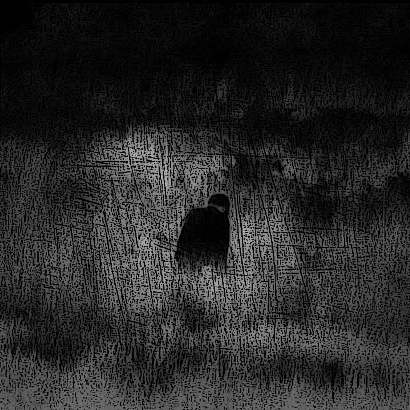 Релиз mis (instrumental looped)