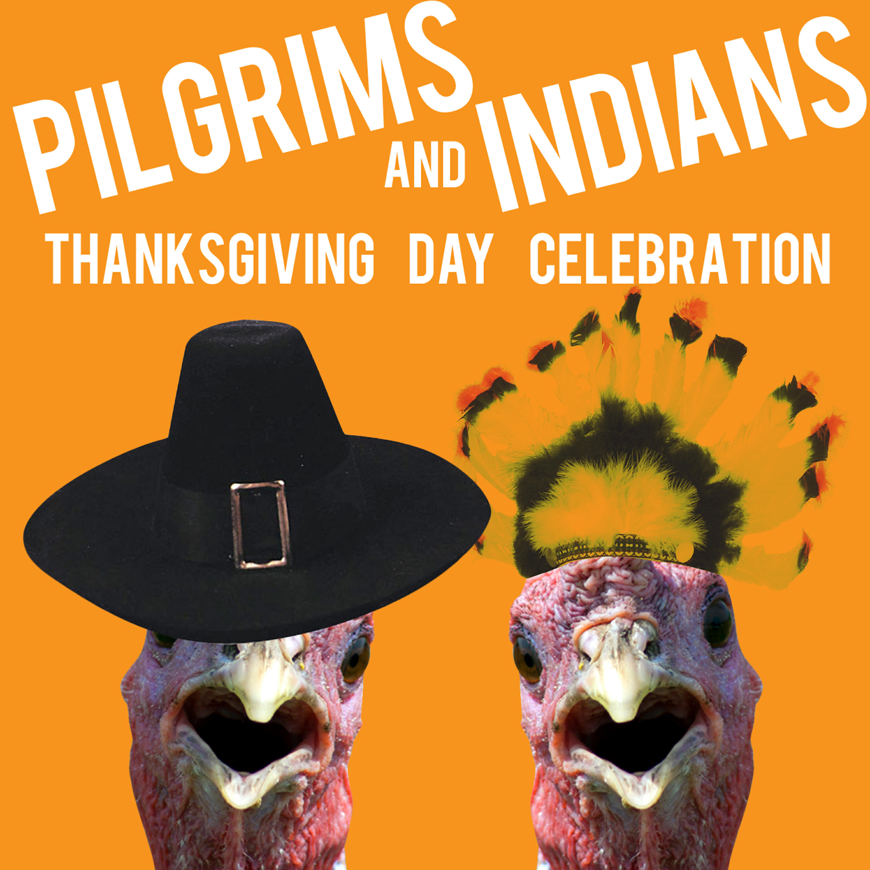 Релиз Pilgrims & Indians - A Thanksgiving Day Celebration