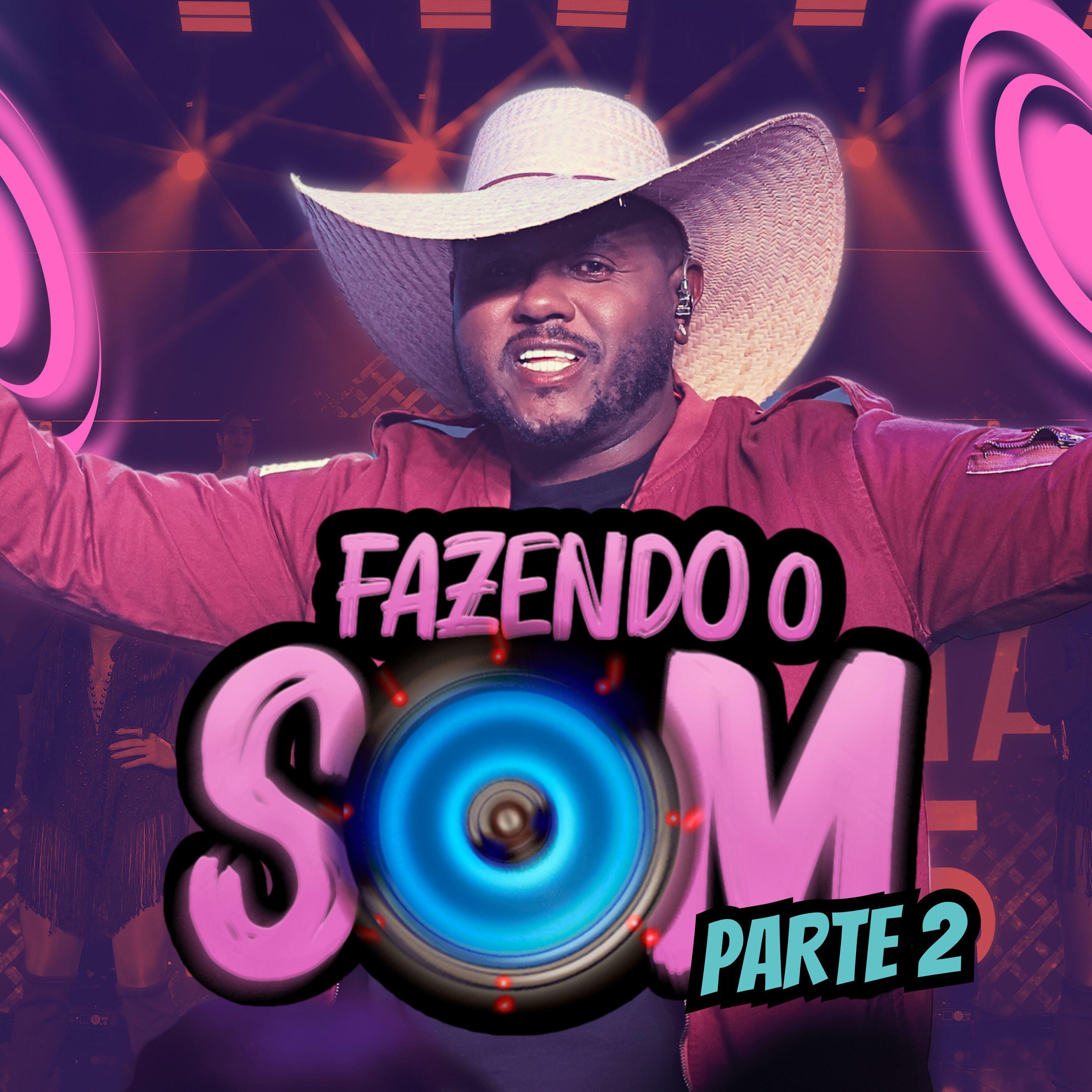 Релиз Fazendo o som (Parte 2)