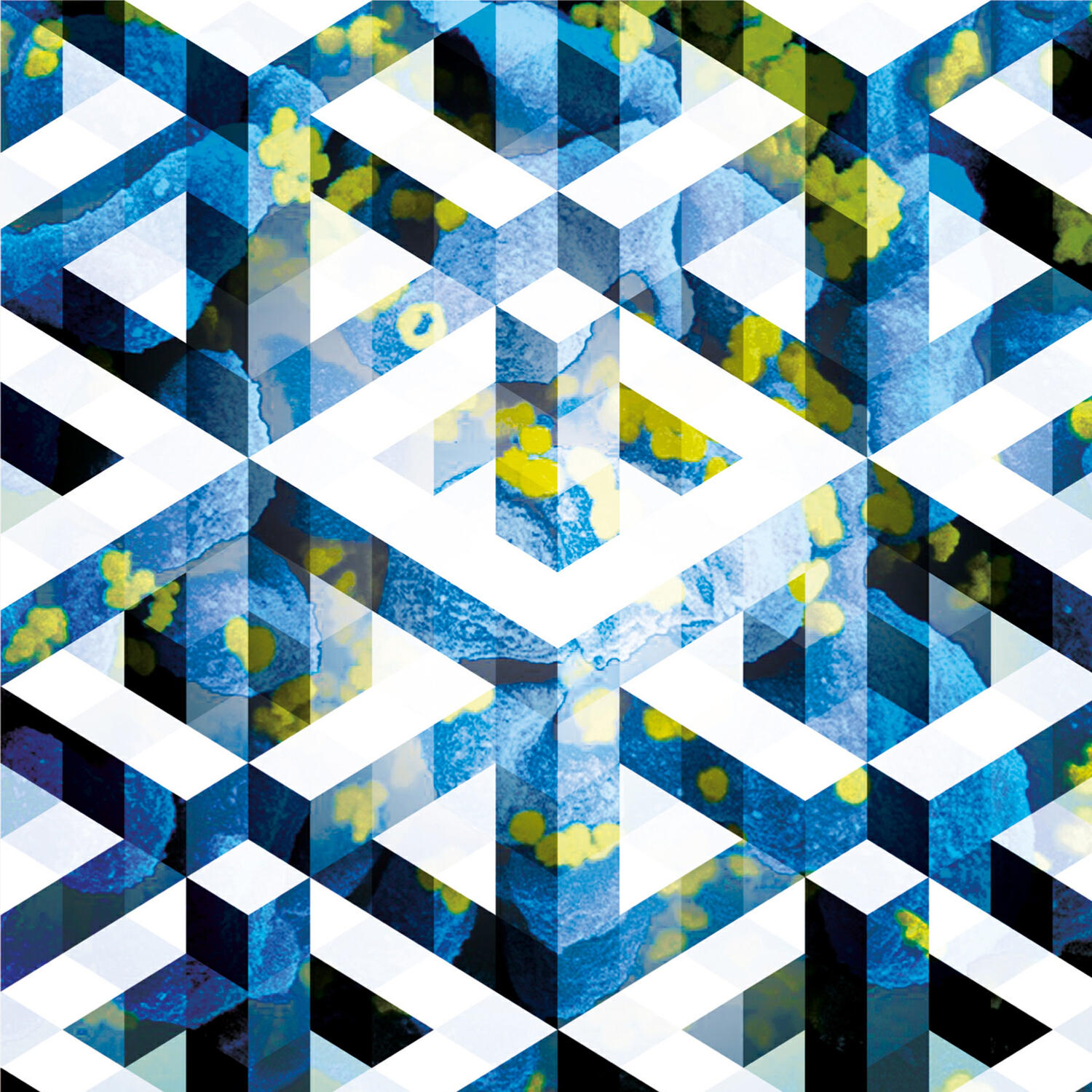 Релиз Liquid Geometries