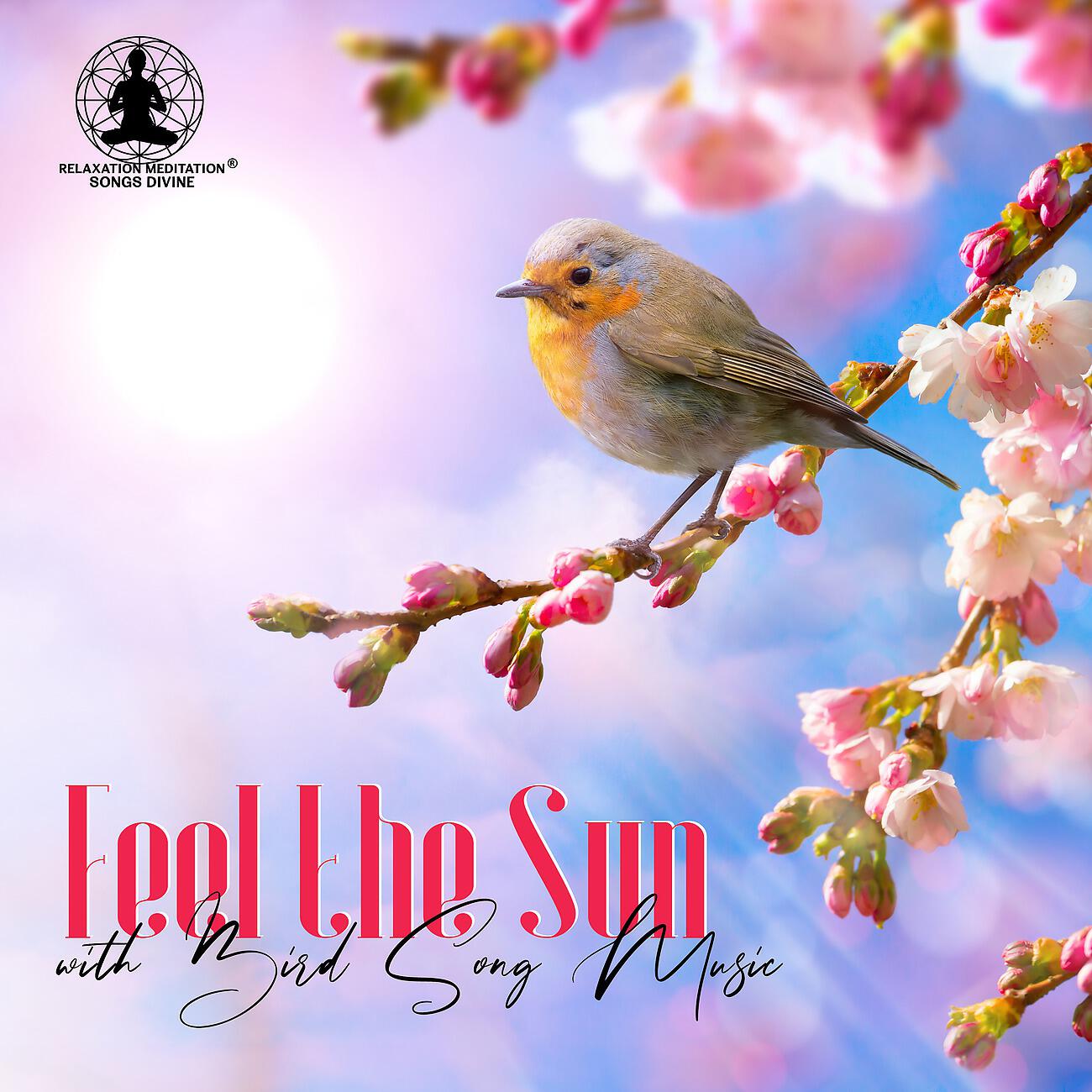 Релиз Feel the Sun with Bird Song Music - Relaxation Meditation, Relaxation Therapy, Rest Time