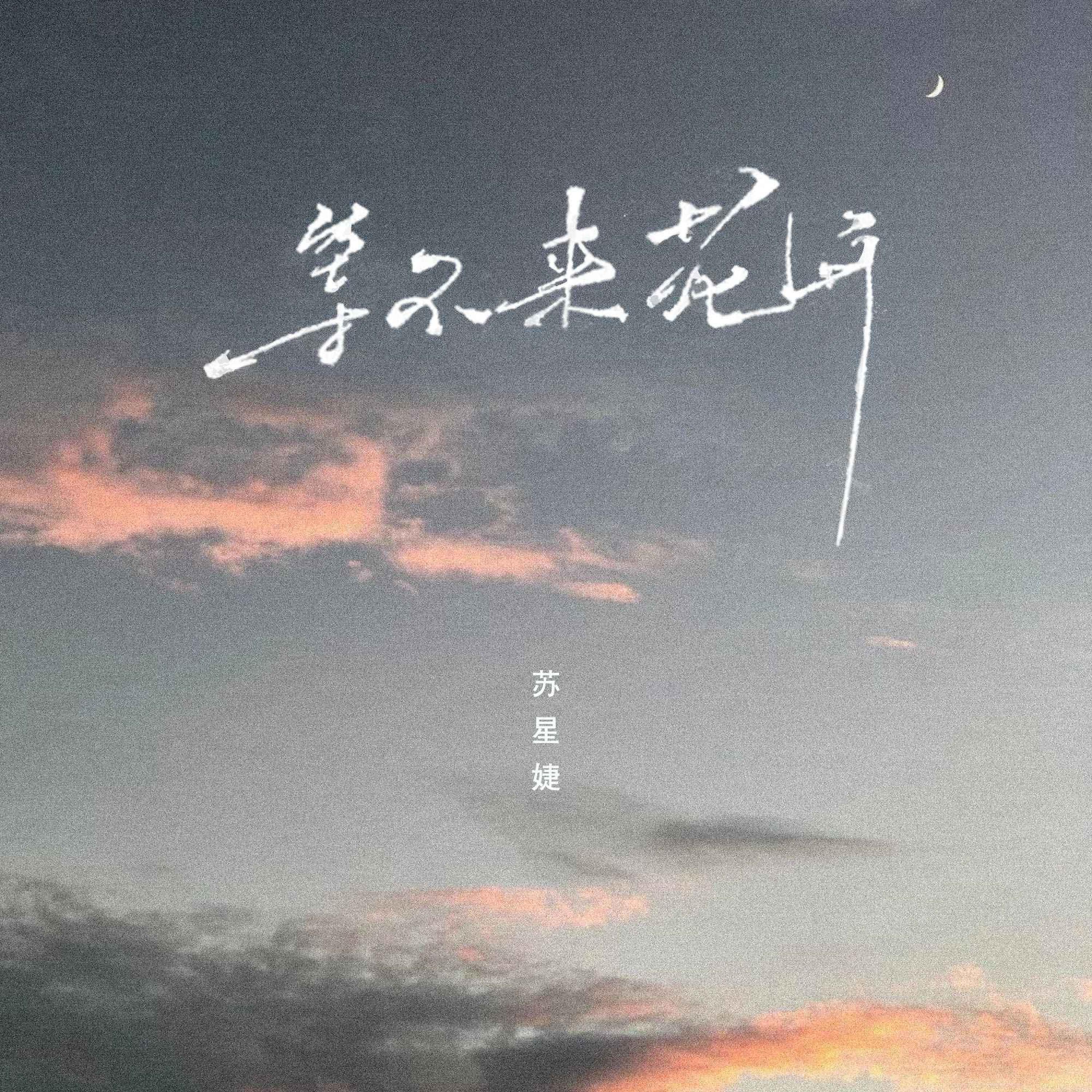 Релиз 等不来花开