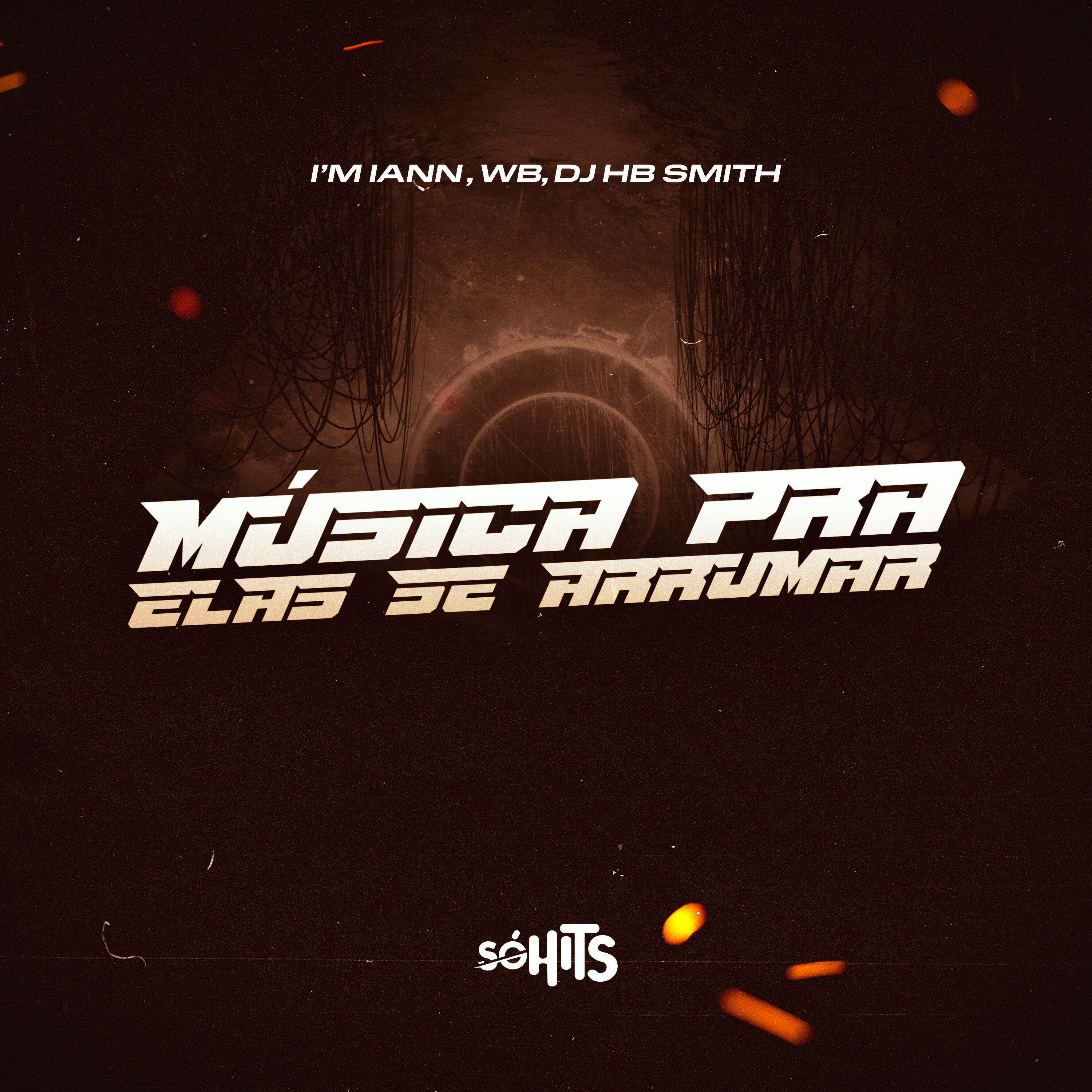 Релиз Música pra Elas Se Arrumar
