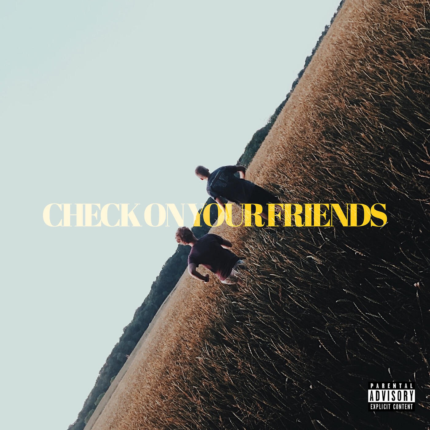 Релиз Check on Your Friends
