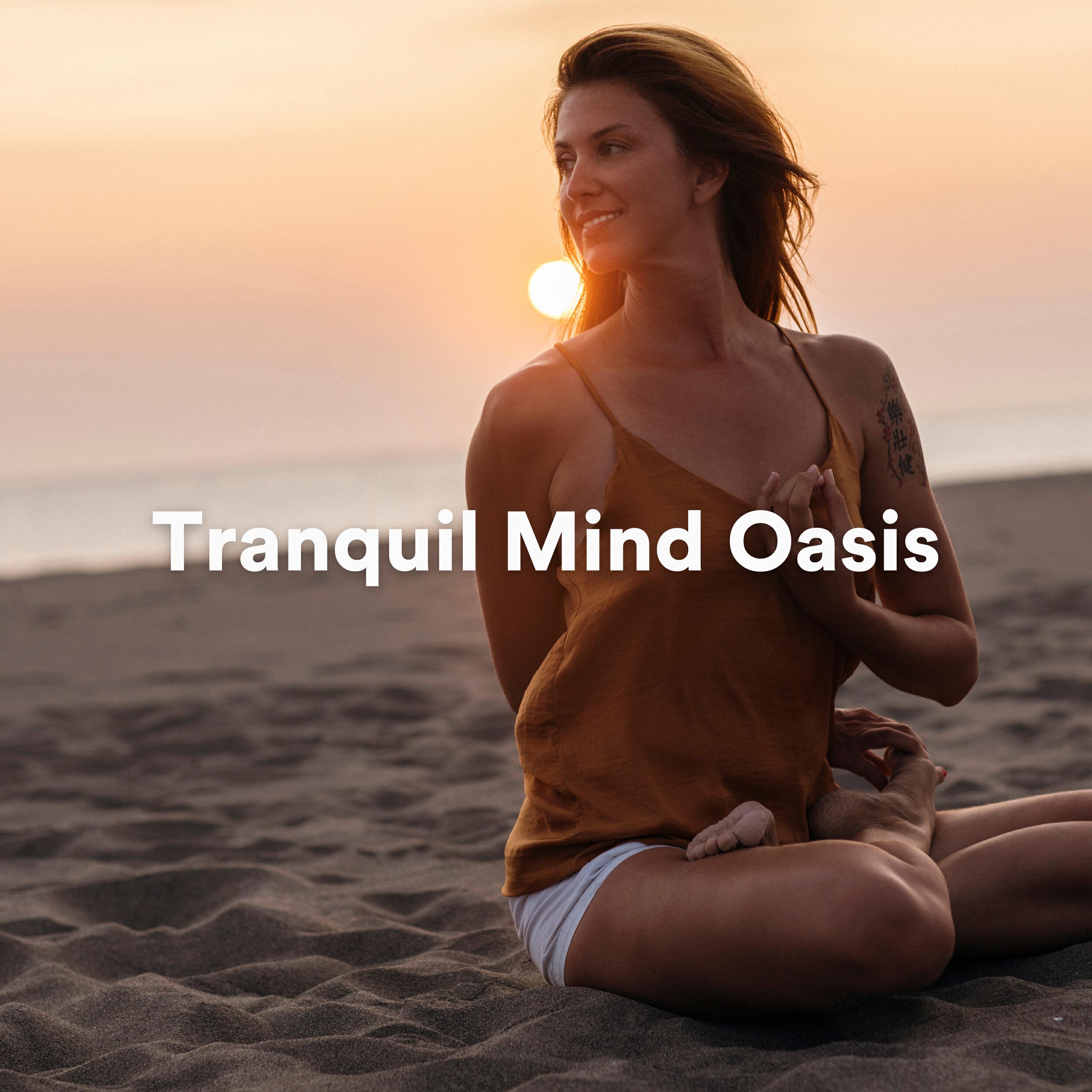 Релиз Tranquil Mind Oasis