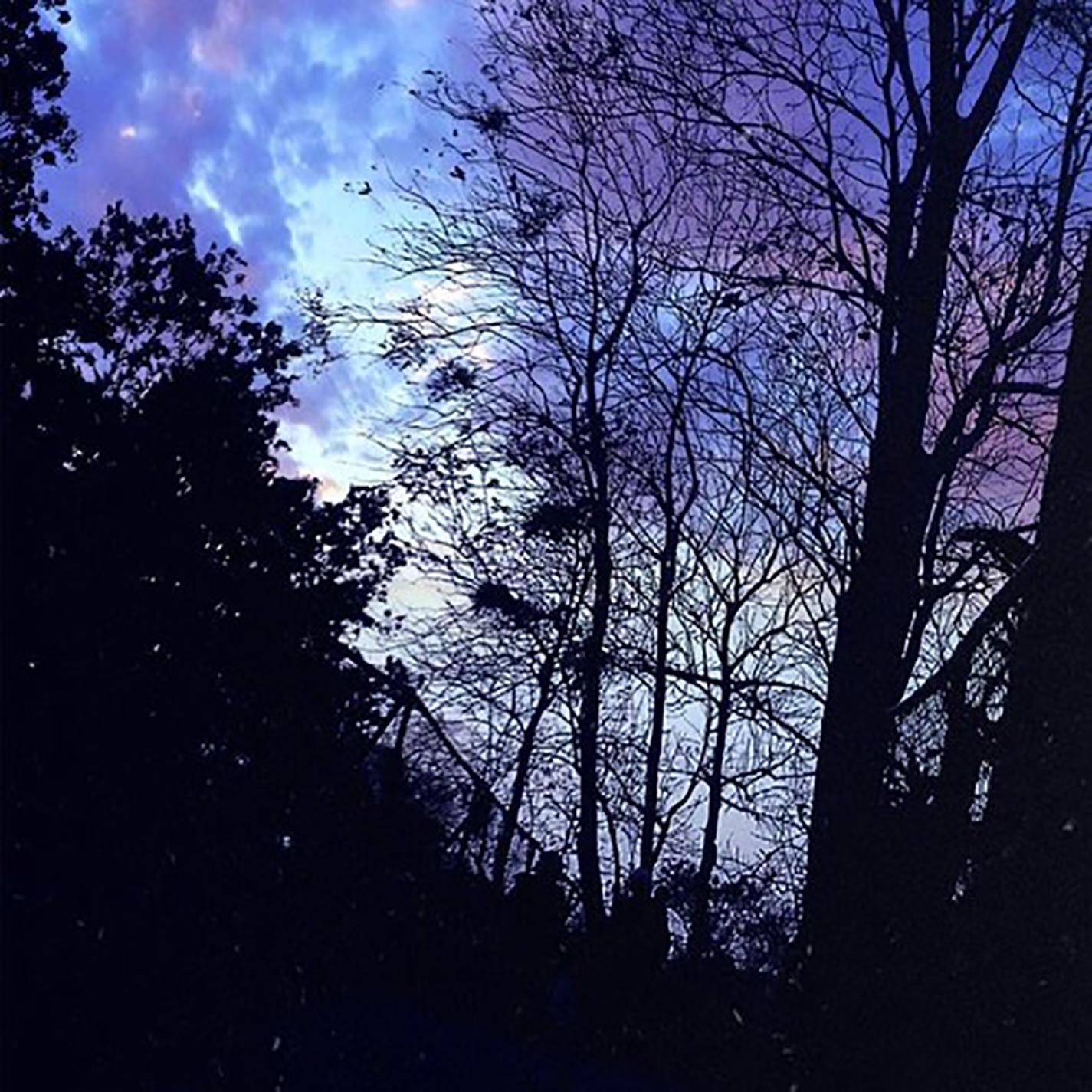 Релиз Magical Forest