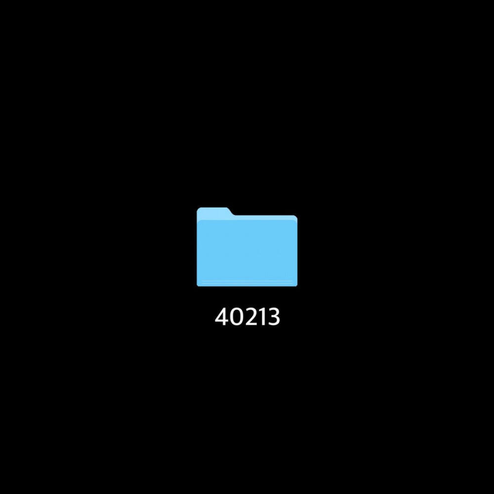 Релиз 40213