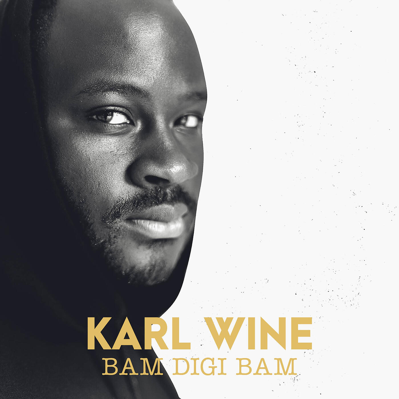 Релиз Bam digi bam