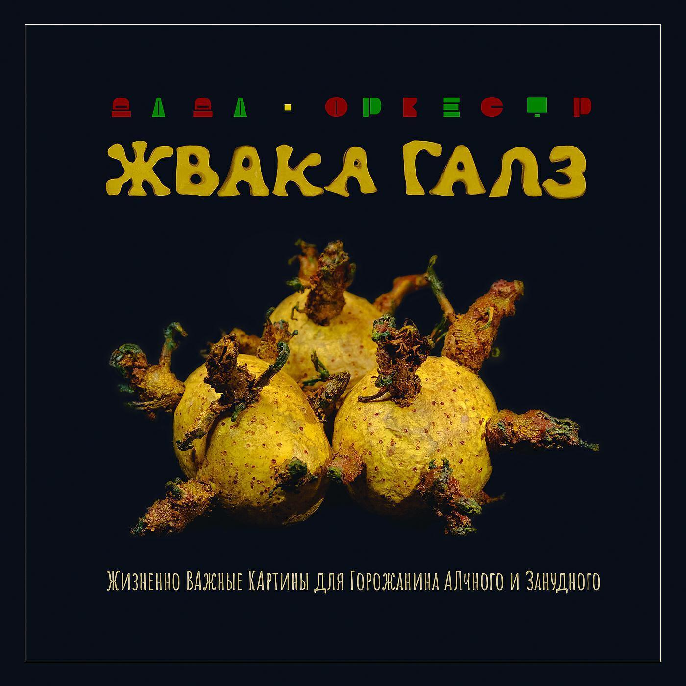 ЖВАКА ГАЛЗ дада-оркестр