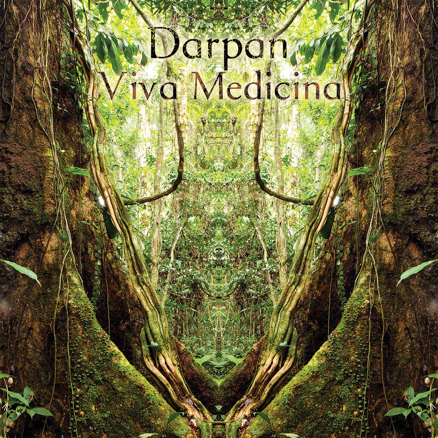 Релиз Viva Medicina