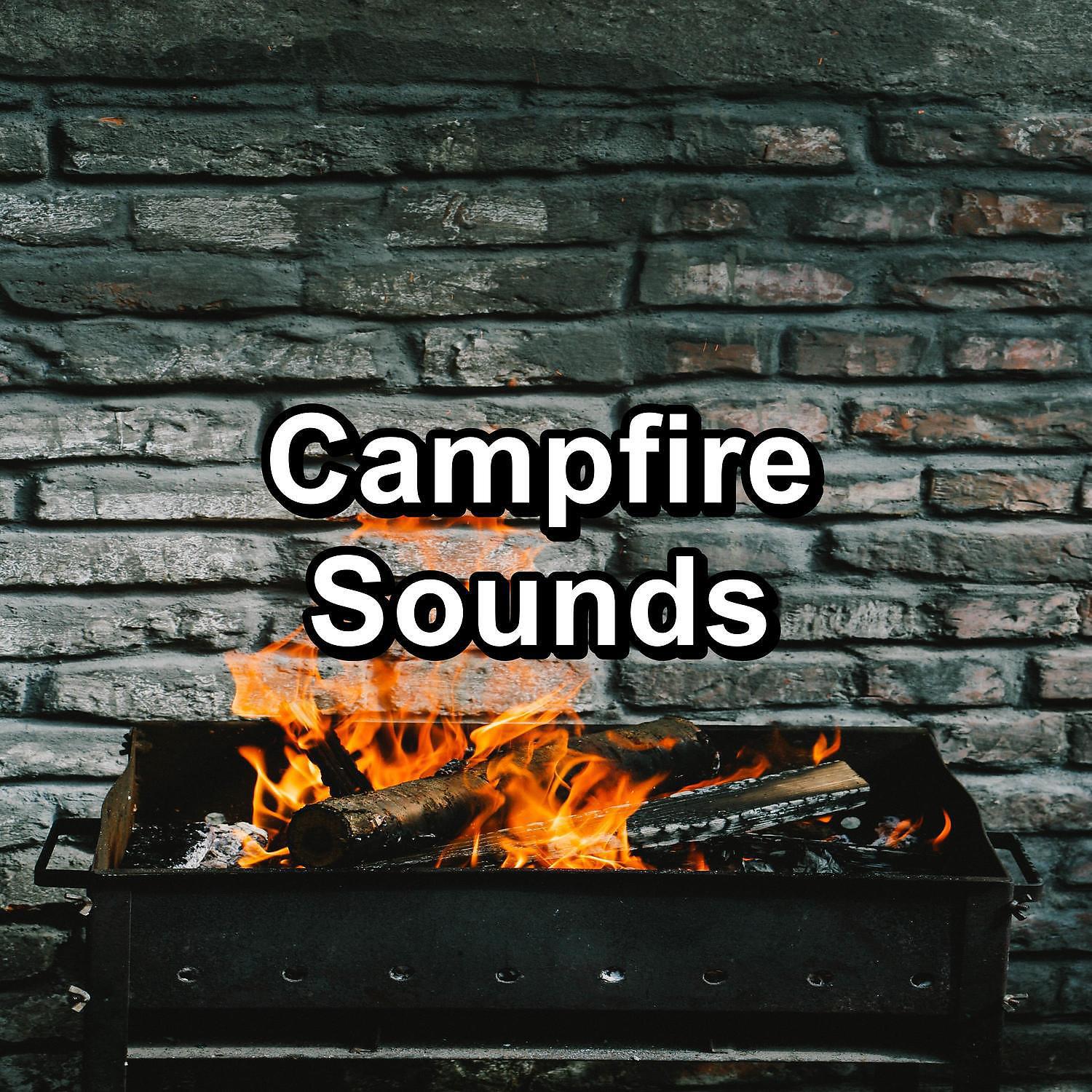 Релиз Campfire Sounds