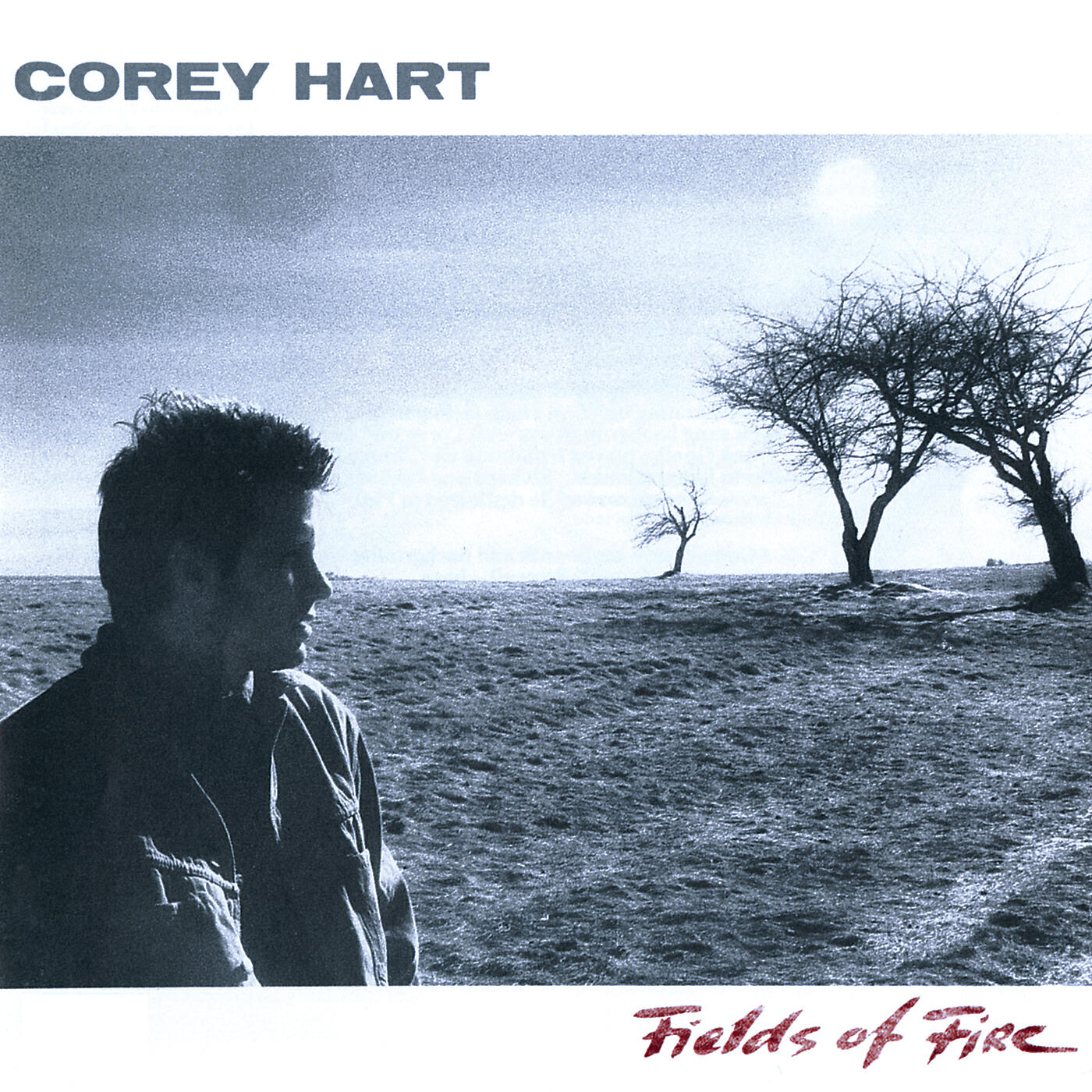 Релиз Fields Of Fire