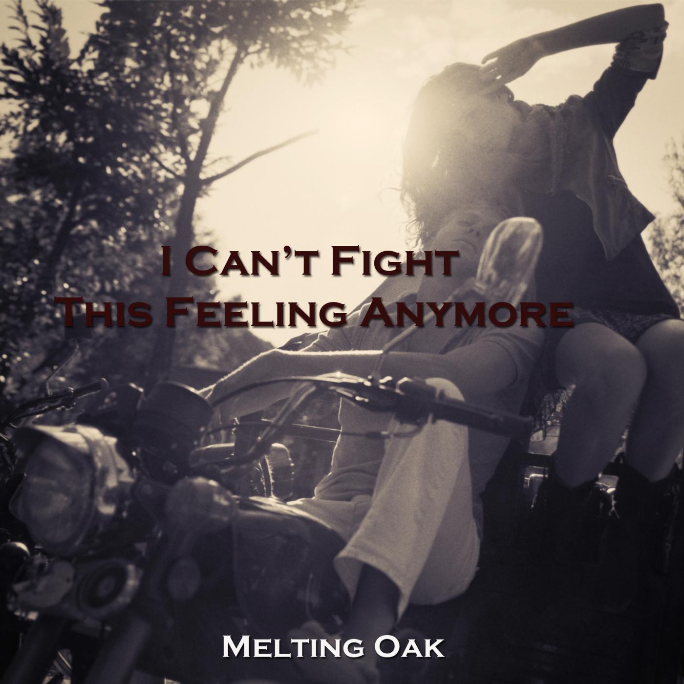 Релиз I Can't Fight This Feeling Anymore
